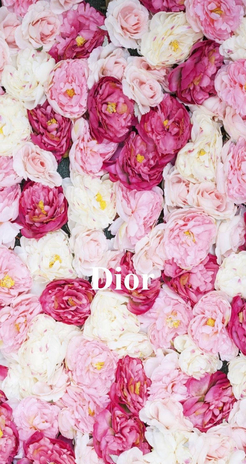 Dior, pink and white roses, yellow centers, HD Phone Wallpaper