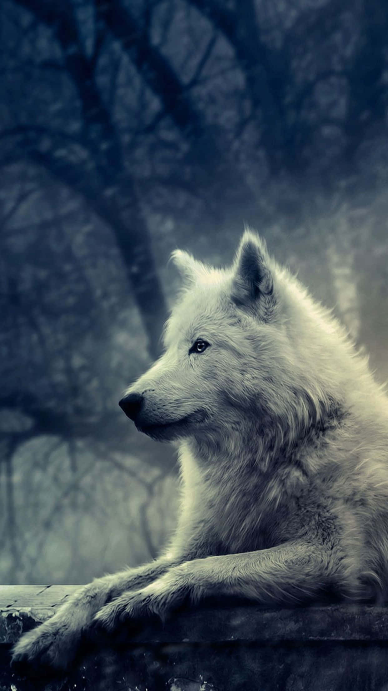 Dire Wolf, white wolf, stone ledge, Full HD Phone Wallpaper