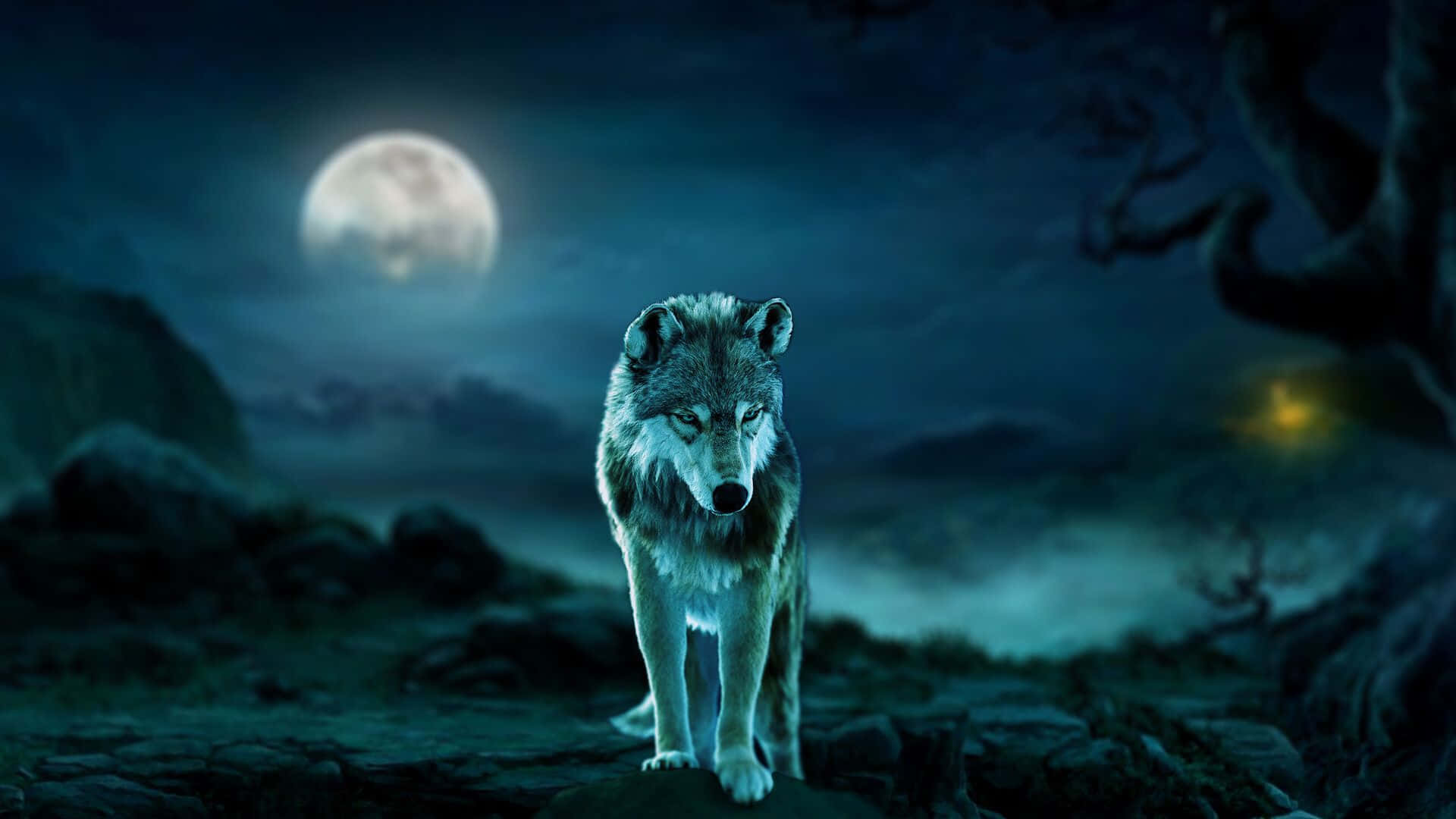 Dire Wolf, full moon, misty nocturnal forest, Full HD Desktop Wallpaper