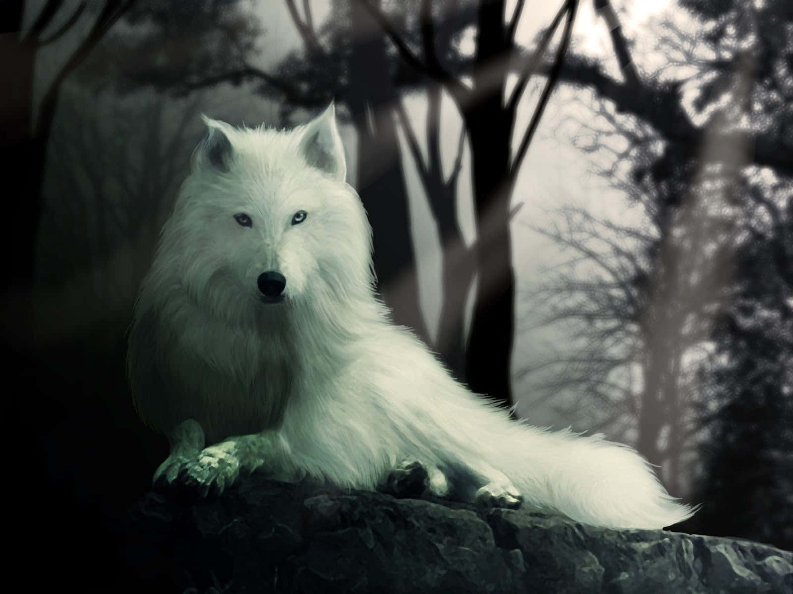 Dire Wolf, white wolf, glowing eyes, HD Desktop Wallpaper
