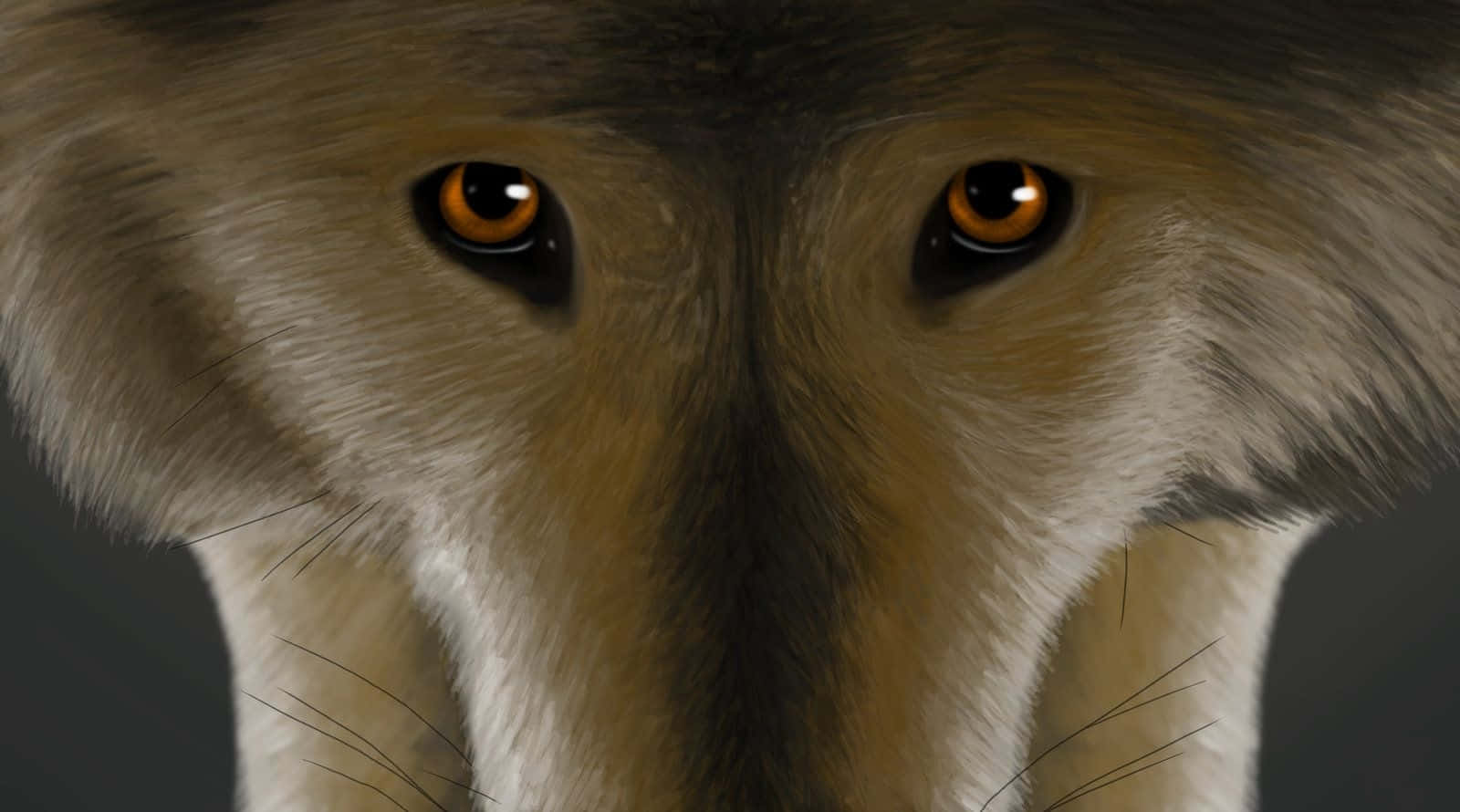 Dire Wolf, amber eyes, detailed fur texture, HD Desktop Wallpaper