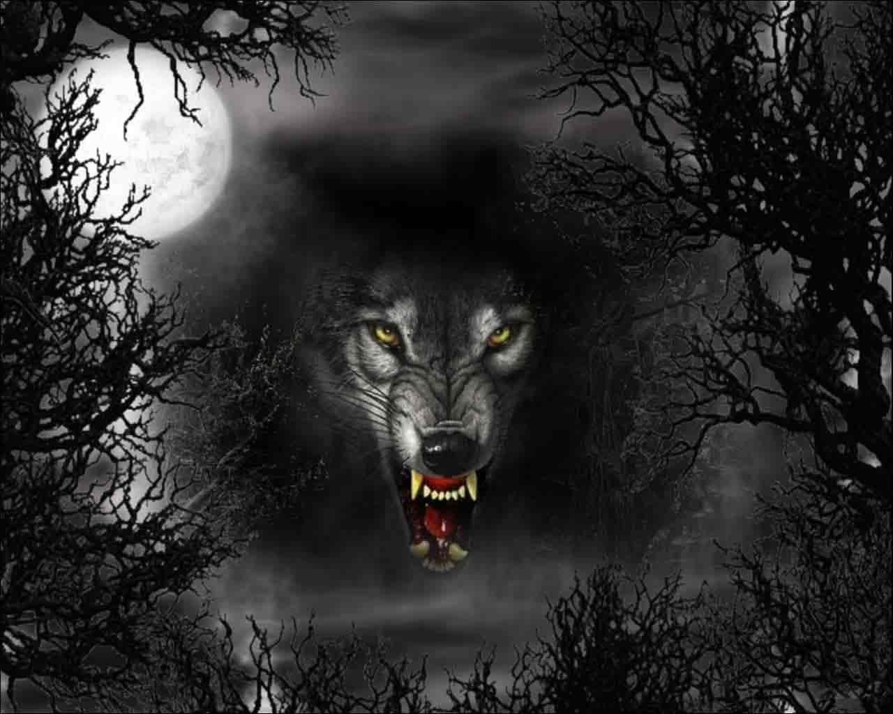 Dire Wolf, glowing yellow eyes, full moon, HD Desktop Wallpaper