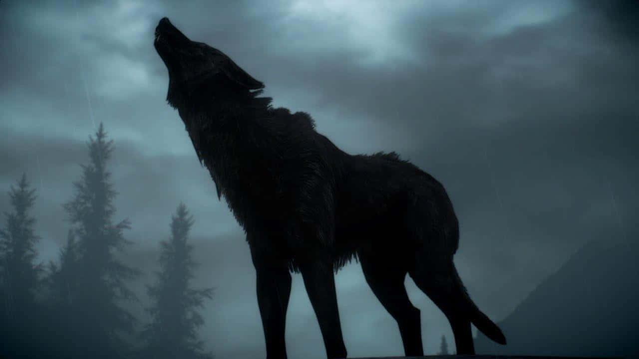 Dire Wolf, stormy gray sky, misty pine trees, HD Desktop Wallpaper