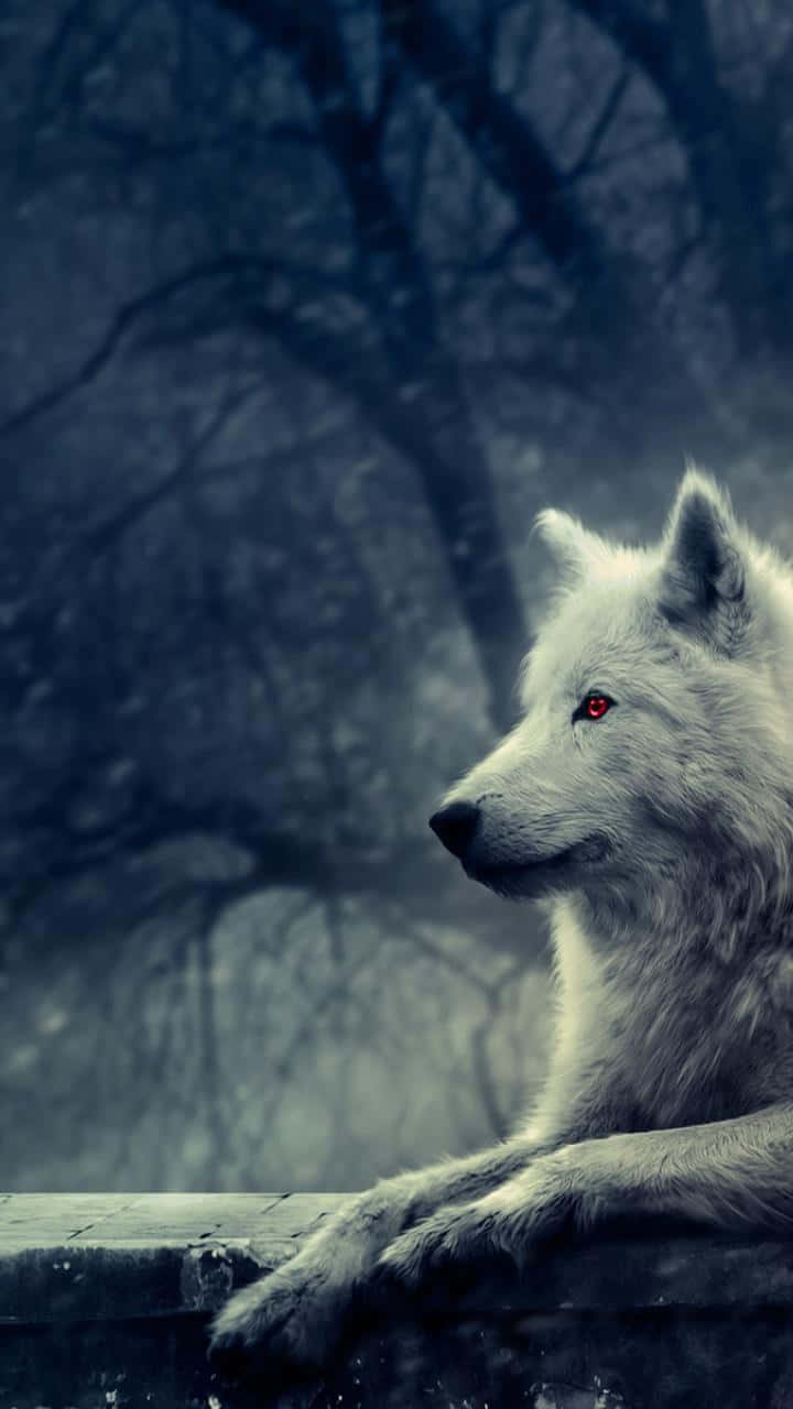 Dire Wolf, white wolf, glowing red eyes, HD Phone Wallpaper