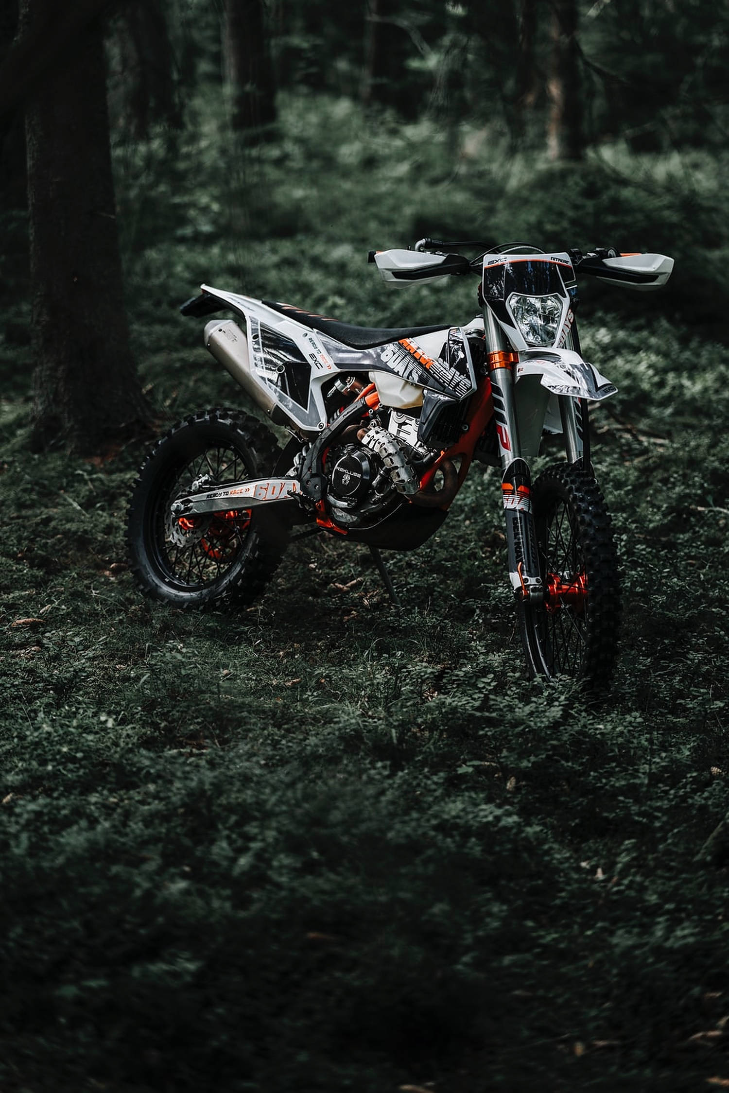 dirt bike, forest, white, Full HD Phone Wallpaper