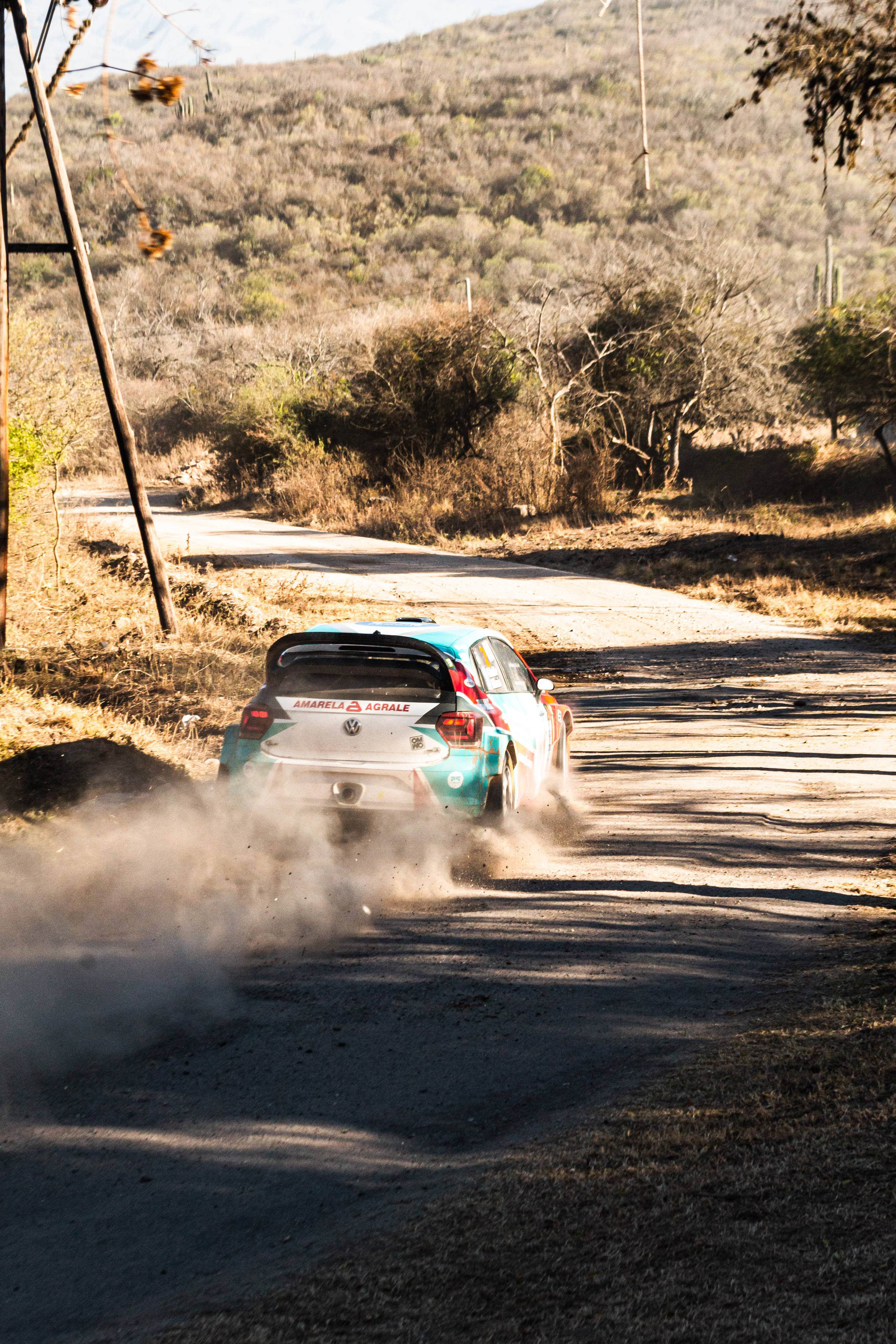 Dirt Rally, turquoise rally car, dirt trail, 4K Phone Wallpaper