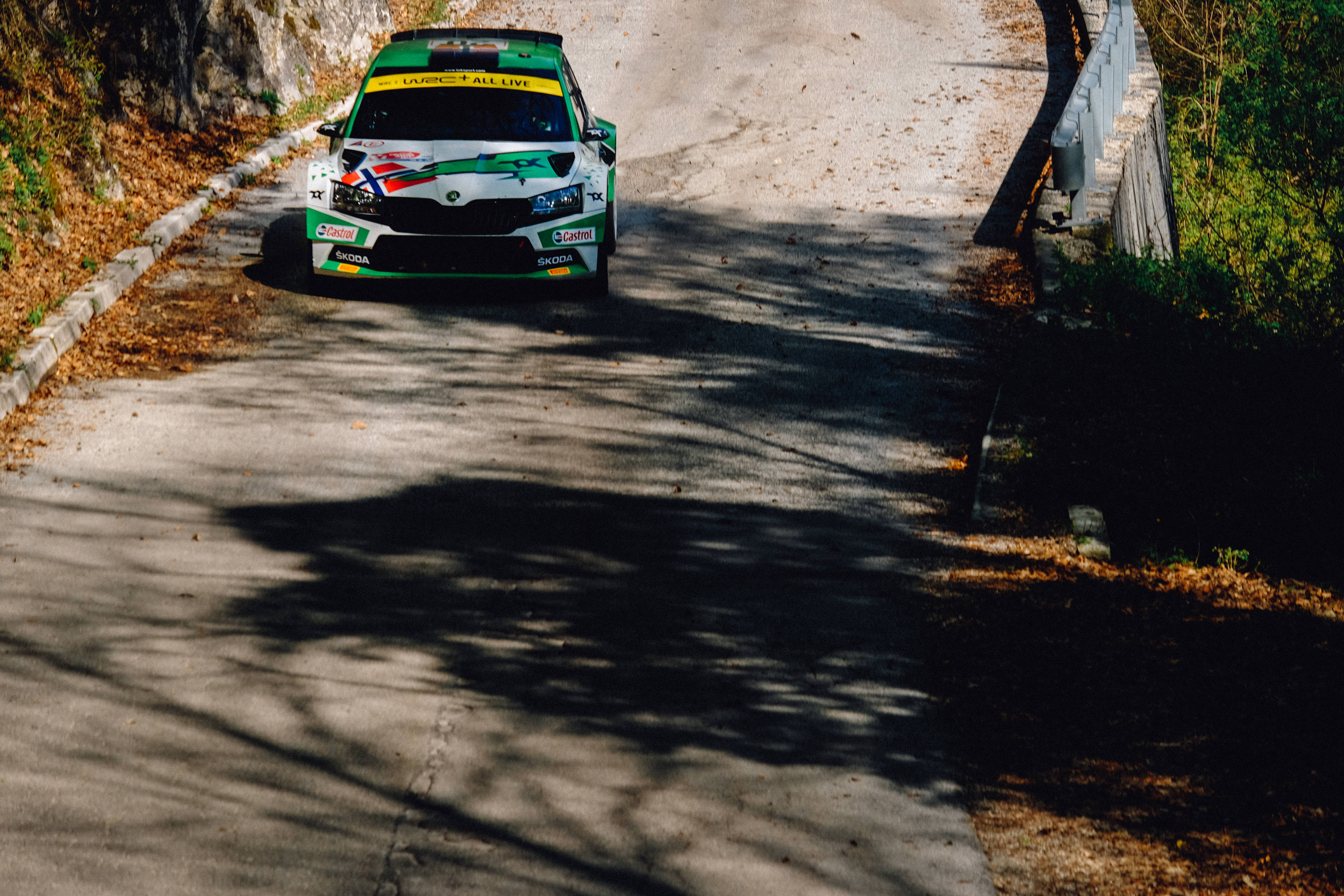 Dirt Rally, green and white rally car, sun-dappled forest road, 4K Desktop Wallpaper