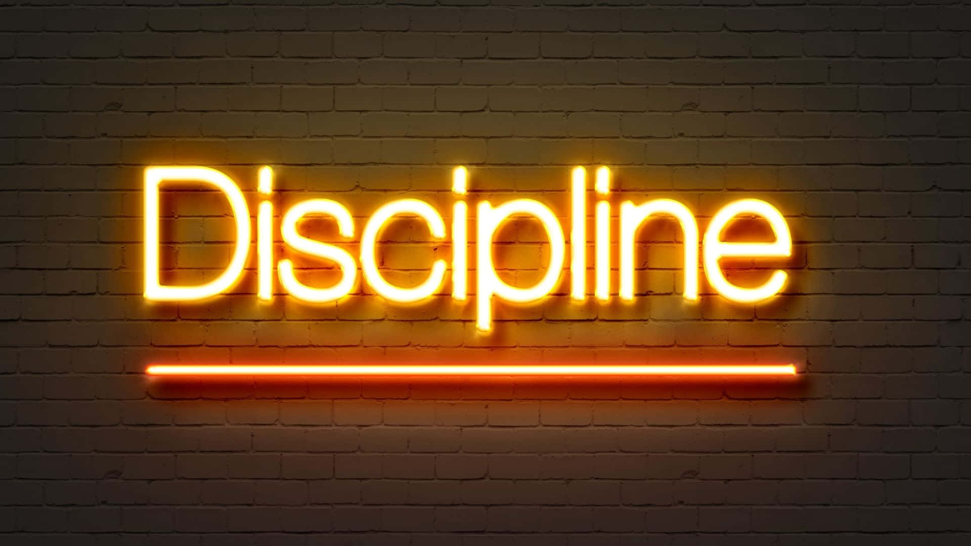 neon sign, Discipline, orange neon, Full HD Desktop Wallpaper
