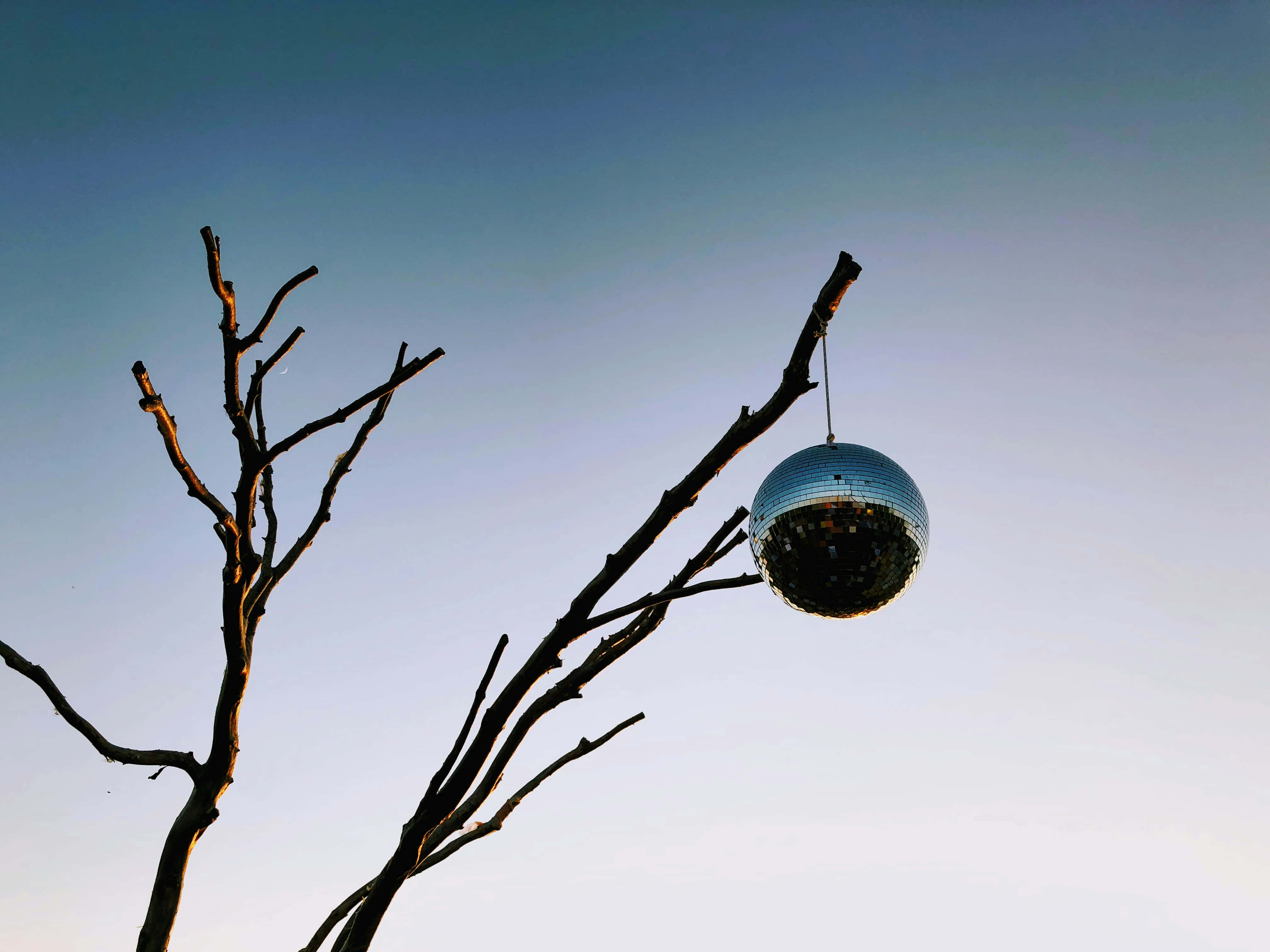 disco ball, bare tree branch, gradient sky, 4K Desktop Wallpaper