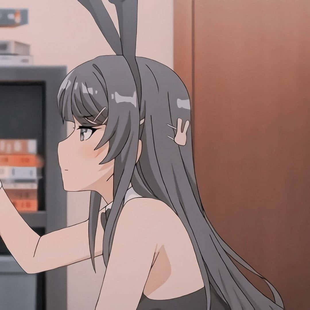 Discord Anime Pfp, anime girl, grey hair, SD Desktop Wallpaper