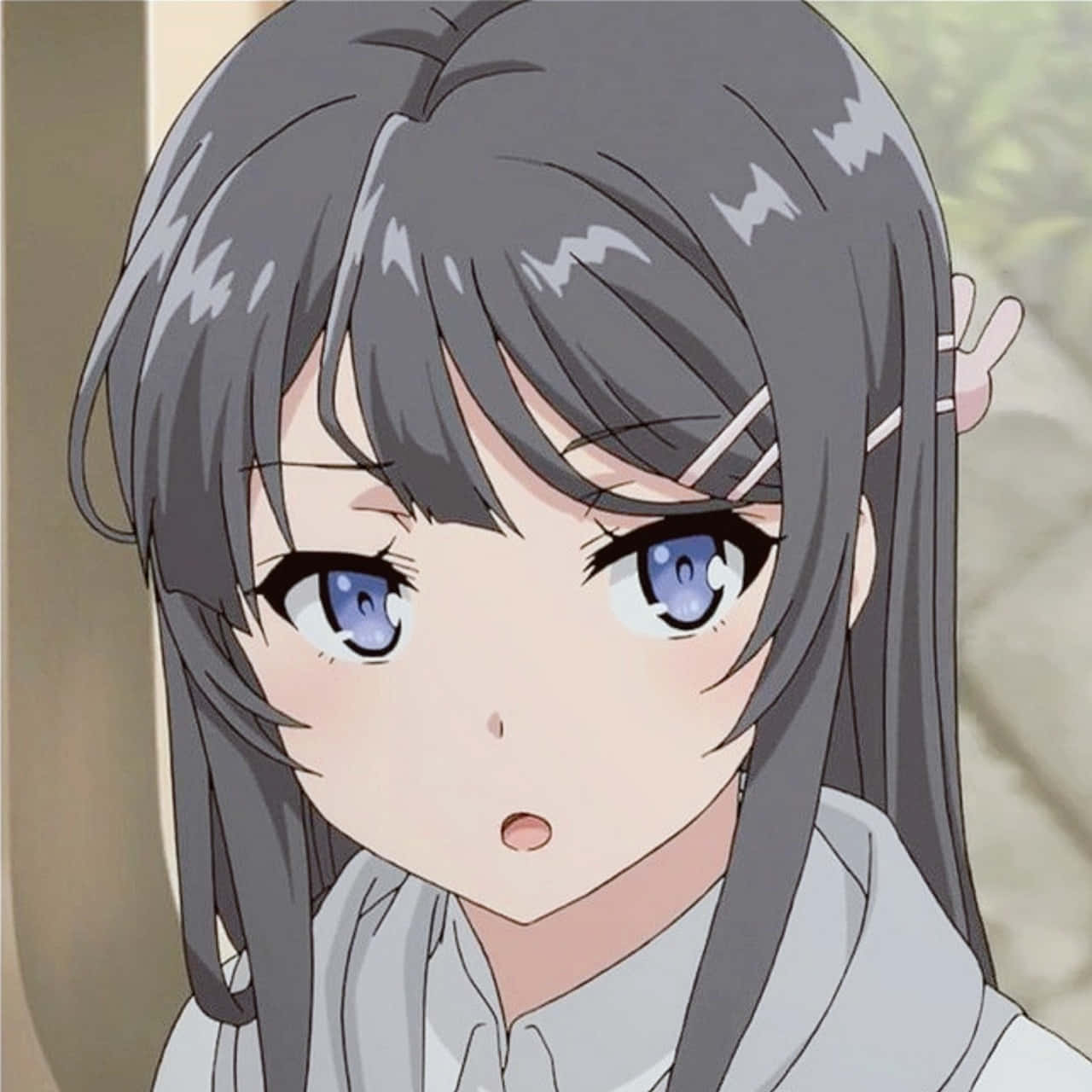 Discord Anime Pfp, anime girl, grey hair, HD Desktop Wallpaper