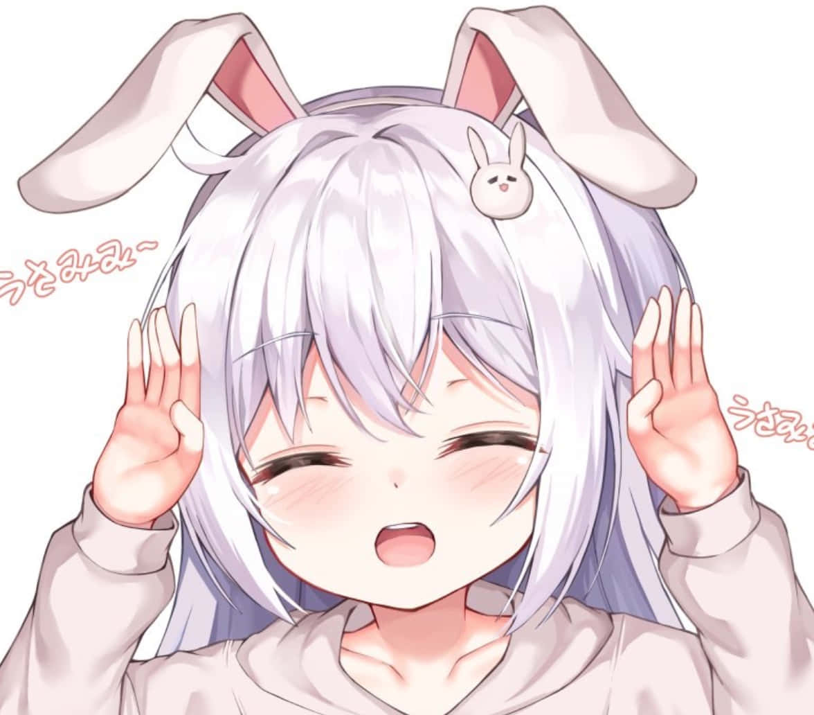Discord Anime Pfp, happy bunny, anime girl, SD Desktop Wallpaper