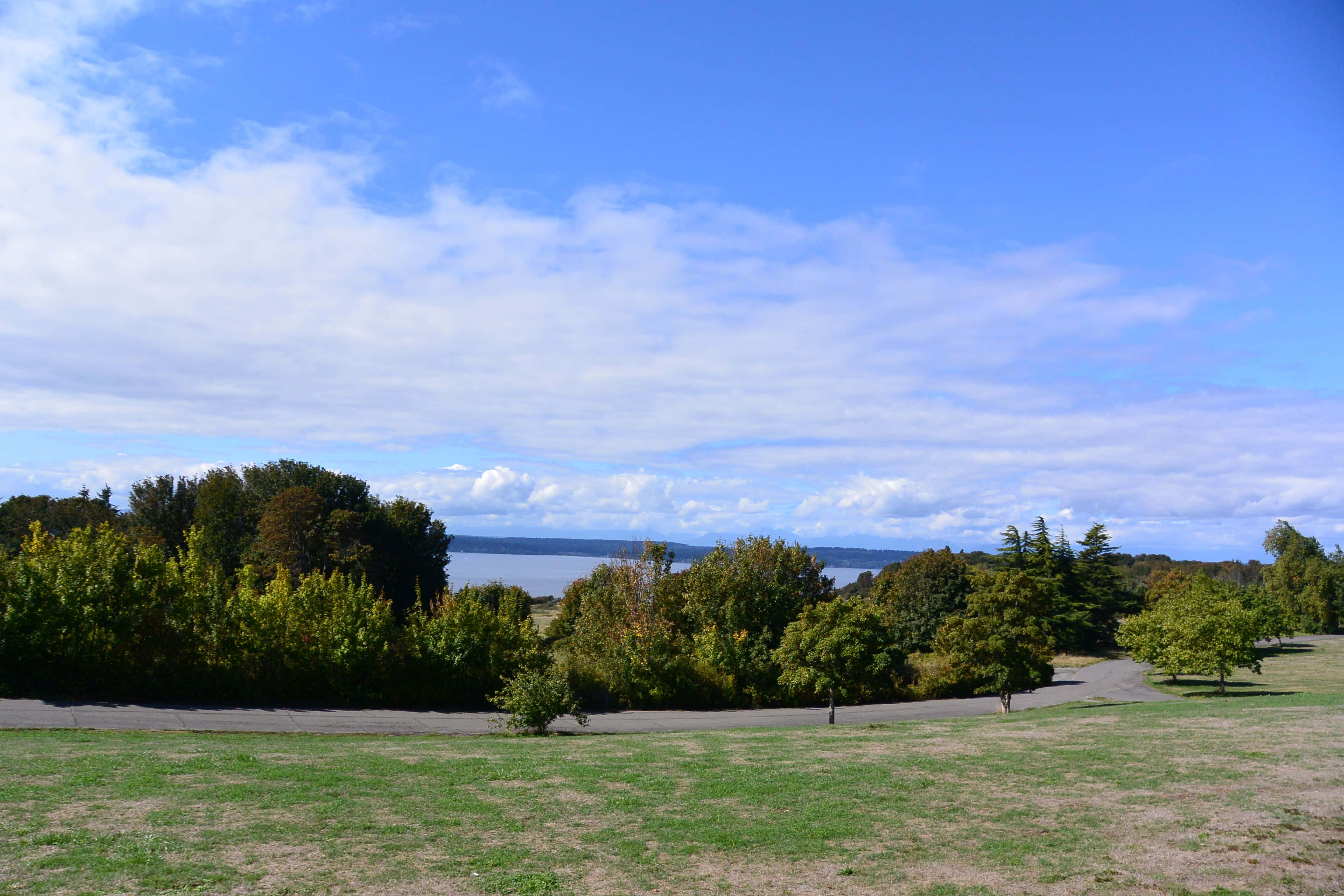 Discovery Park Seattle, grassy fields, winding paths, 4K Desktop Wallpaper