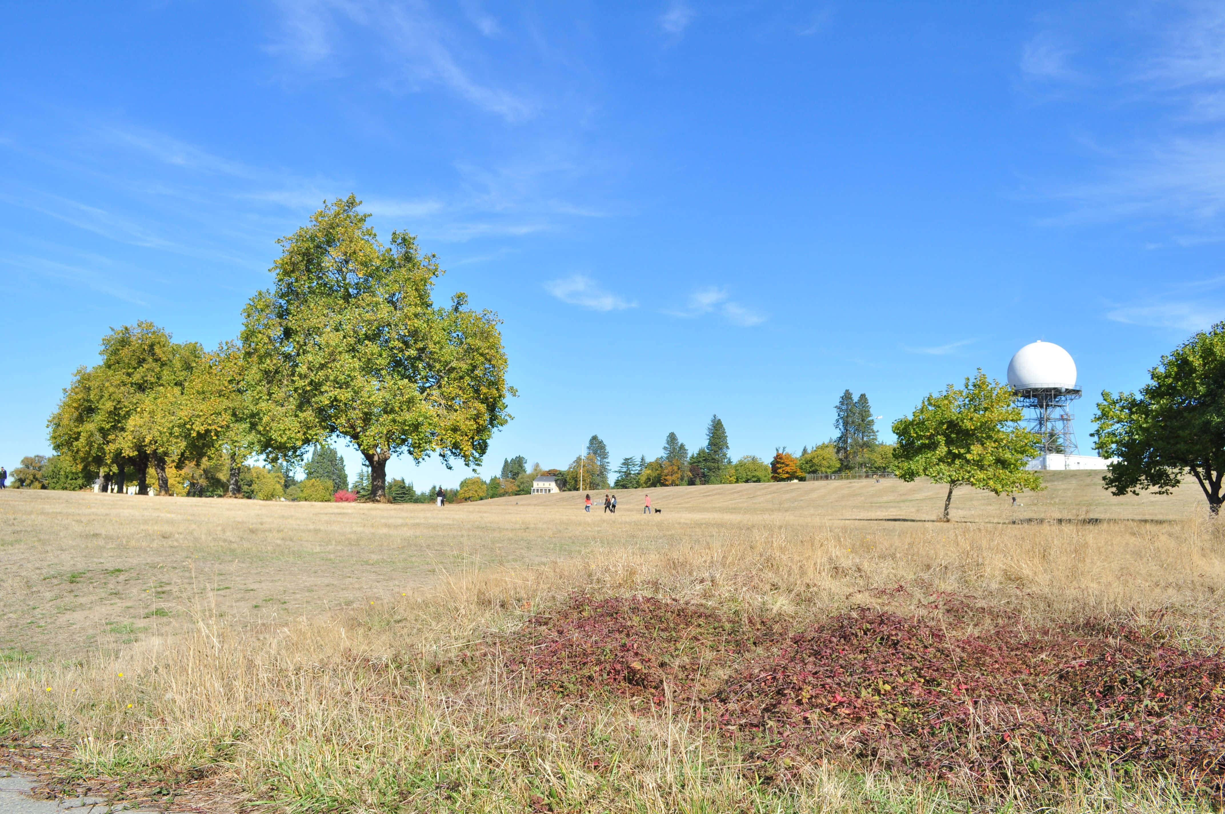 Discovery Park, radar dome, meadow, 4K Desktop Wallpaper