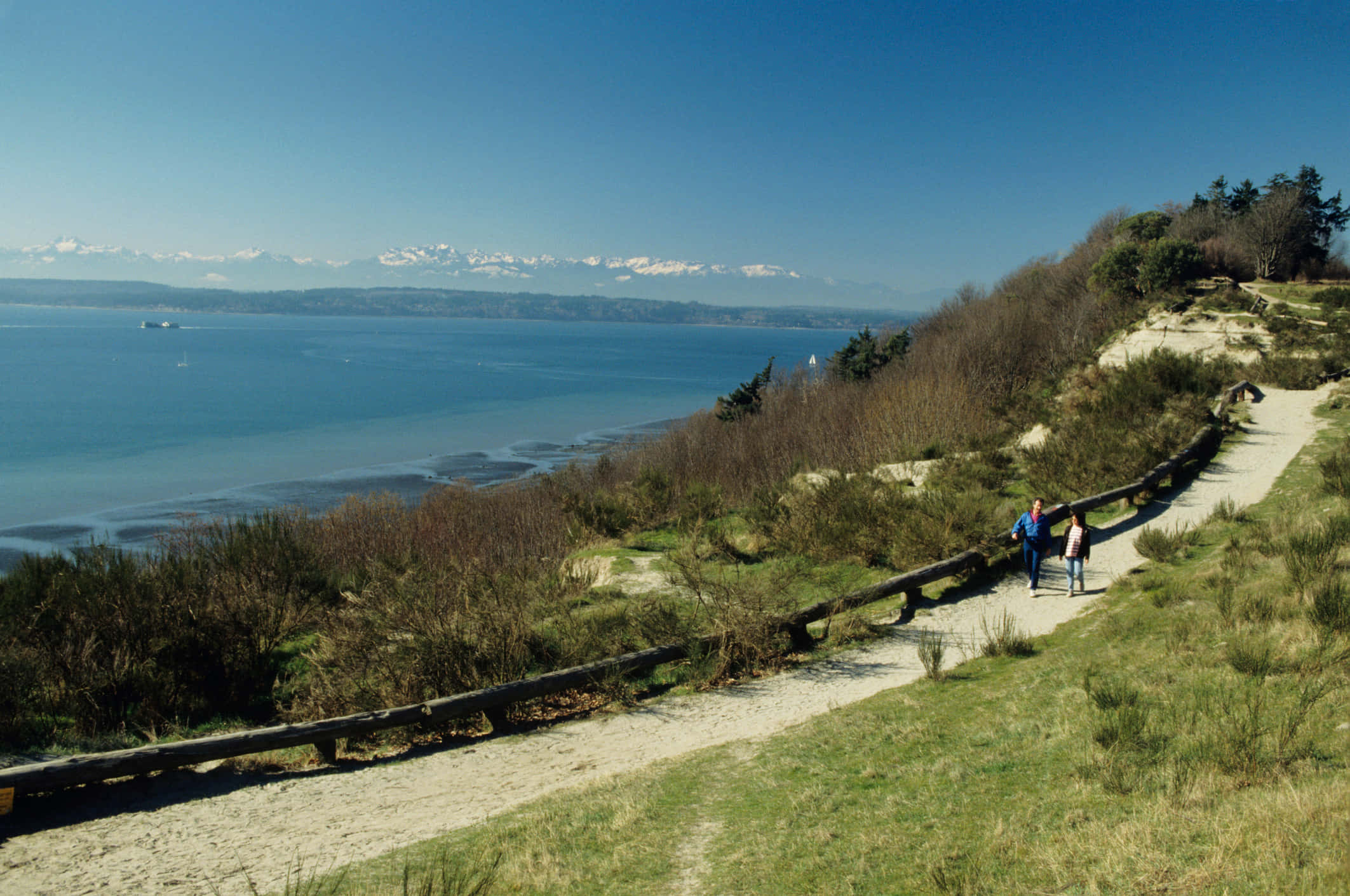Discovery Park Seattle, scenic trail, wooden railing path, Full HD Desktop Wallpaper