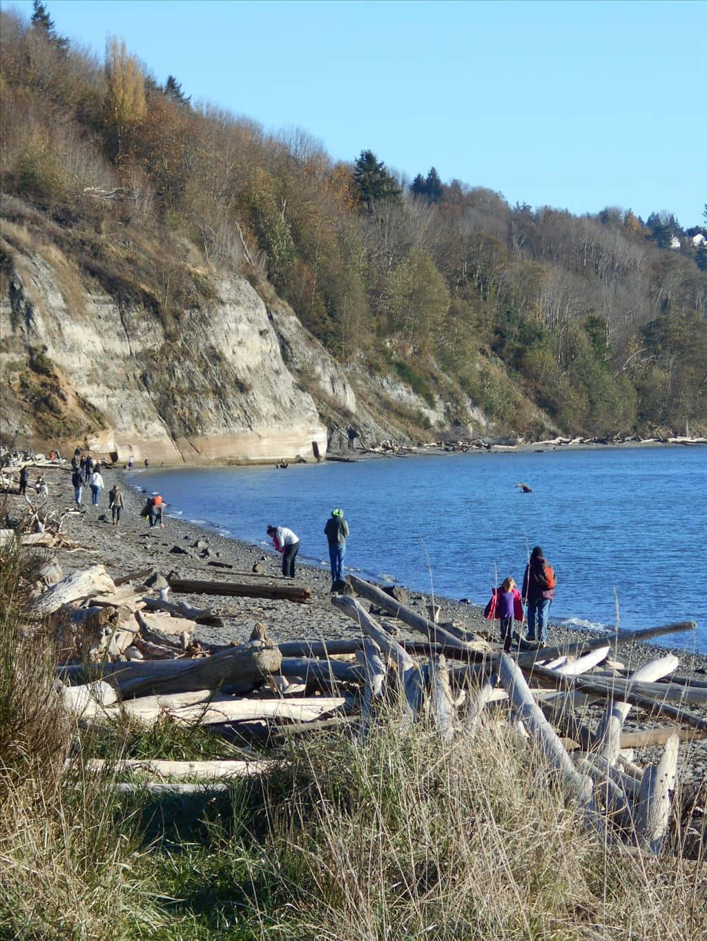 Discovery Park Seattle, beach visitors, rocky shoreline, HD Phone Wallpaper