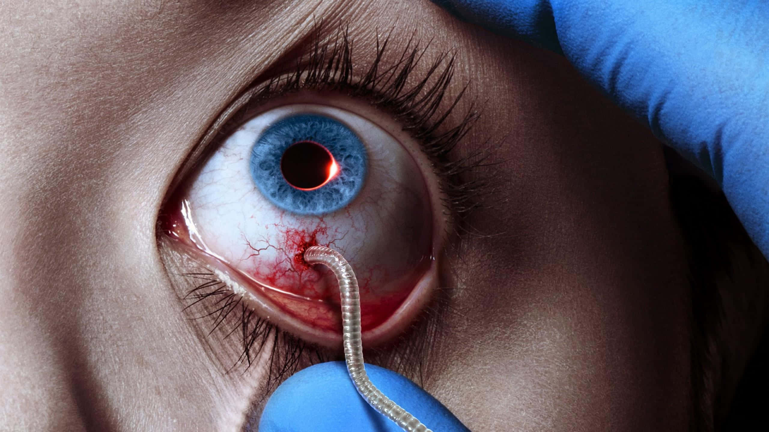 parasitic invasion, eye horror, blue human eye, 2K Desktop Wallpaper