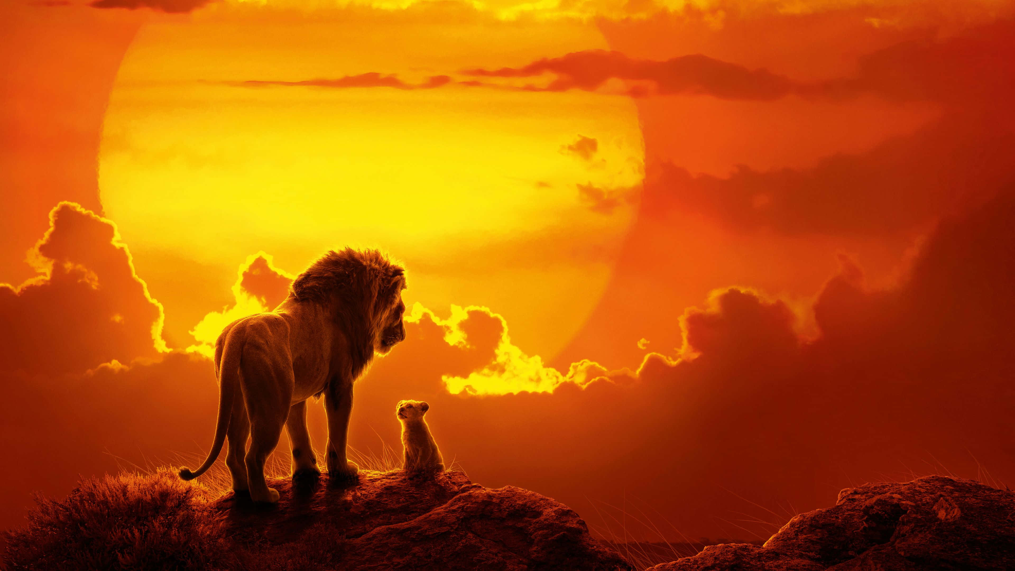 Disney, 4K, lion, 4K Desktop Wallpaper