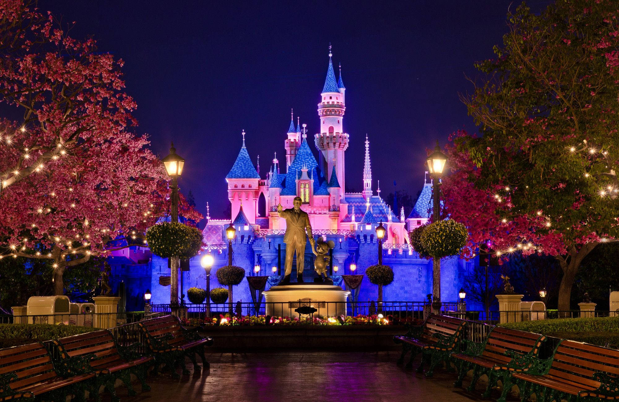 Disney Christmas, pink castle, cherry blossom trees, Full HD Desktop Wallpaper