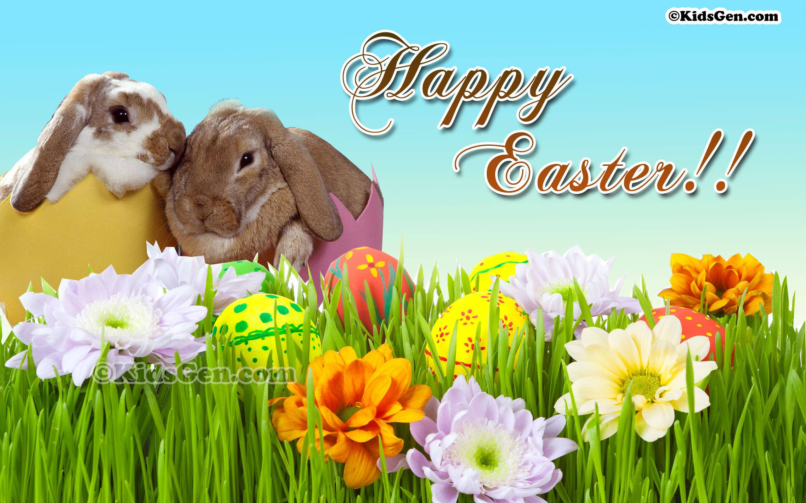 Easter eggs, rabbit couple, lop-eared bunnies, 2K Desktop Wallpaper