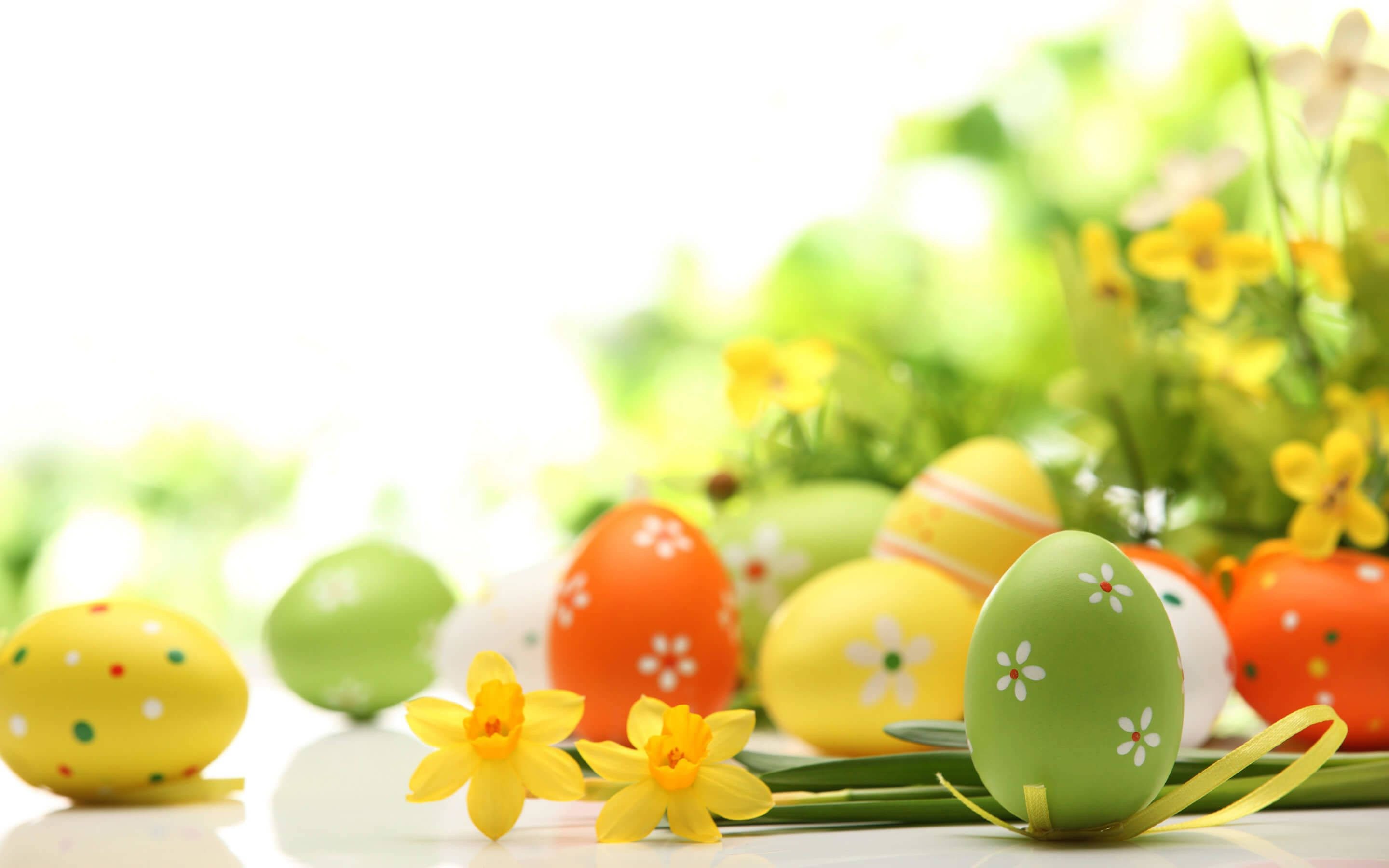 Easter eggs, yellow daffodils, bright white surface, 2K Desktop Wallpaper
