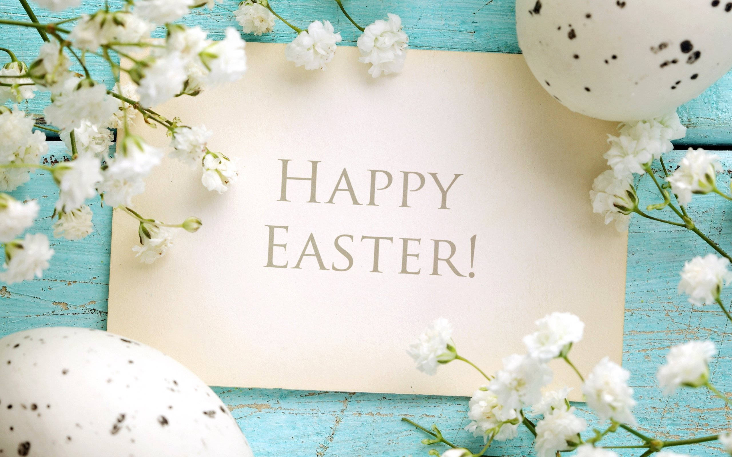 white and blue, Easter, baby's breath, 2K Desktop Wallpaper