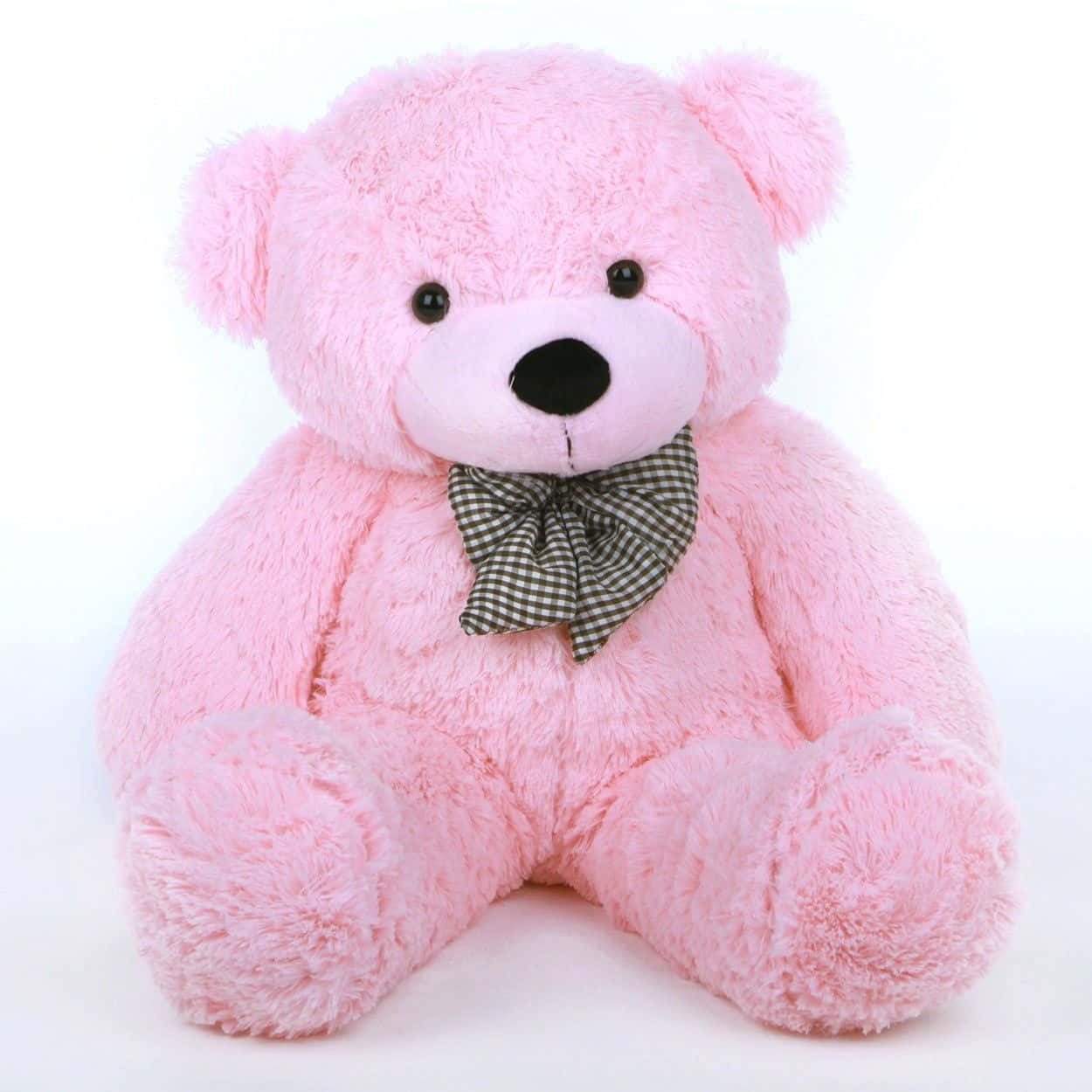 pink teddy bear, green and white checkered bow, plain white background, SD Desktop Wallpaper