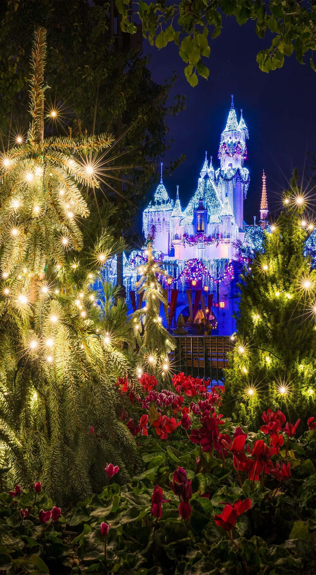 Disney World, Android, castle, Full HD Phone Wallpaper