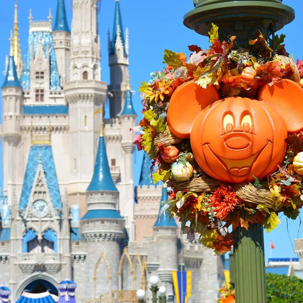 Disney World iPhone