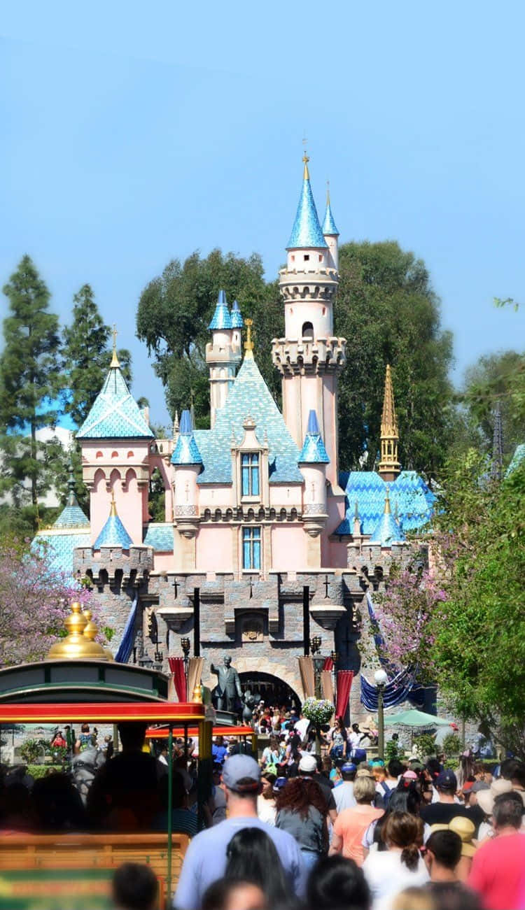Disney World, pink and blue castle, clear blue sky, HD Phone Wallpaper