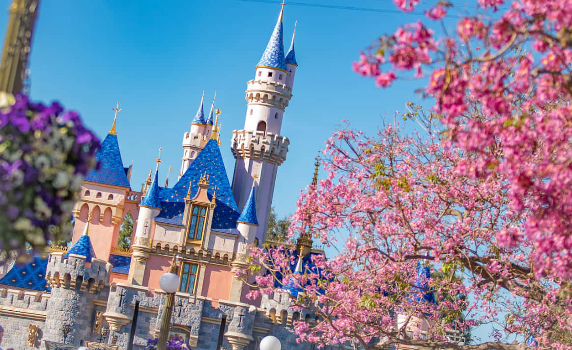 Disneyland, California, springtime in california, SD Desktop Wallpaper