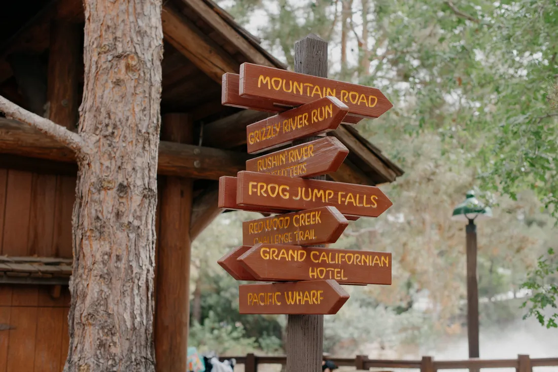 Disneyland Desktop