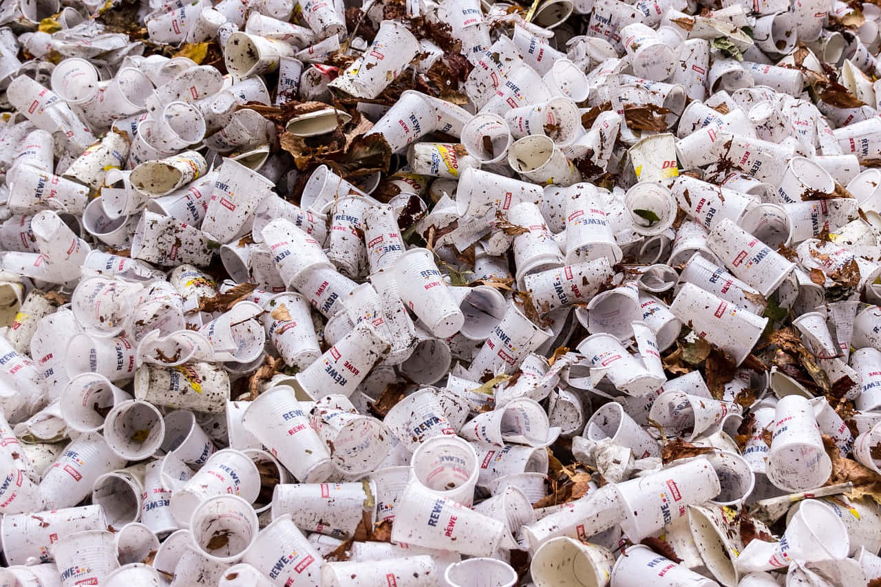 white plastic cups, trash, dirt, HD Desktop Wallpaper