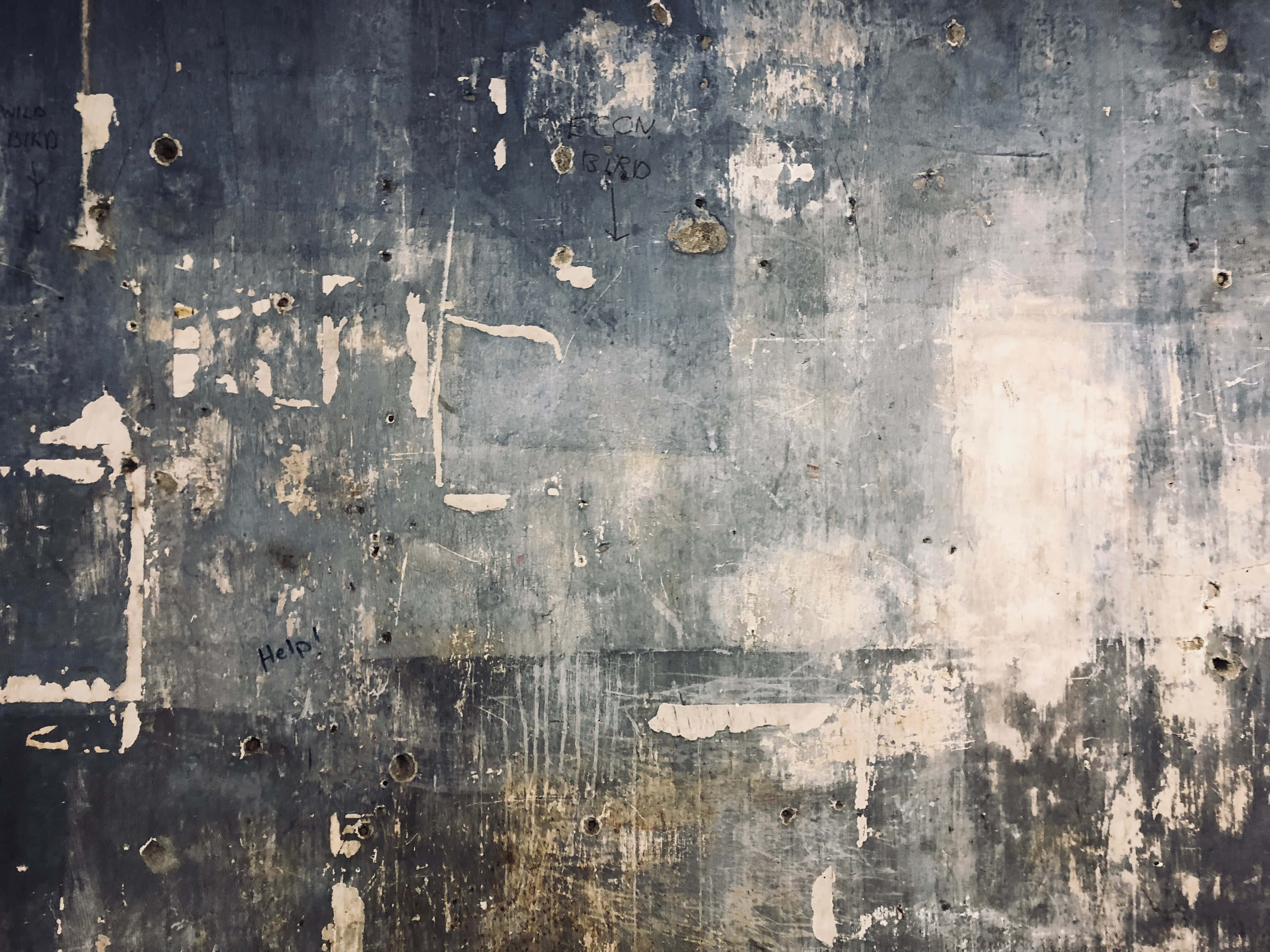 Discrete Concrete Wall Mural, blue-gray, peeling paint, 4K Desktop Wallpaper