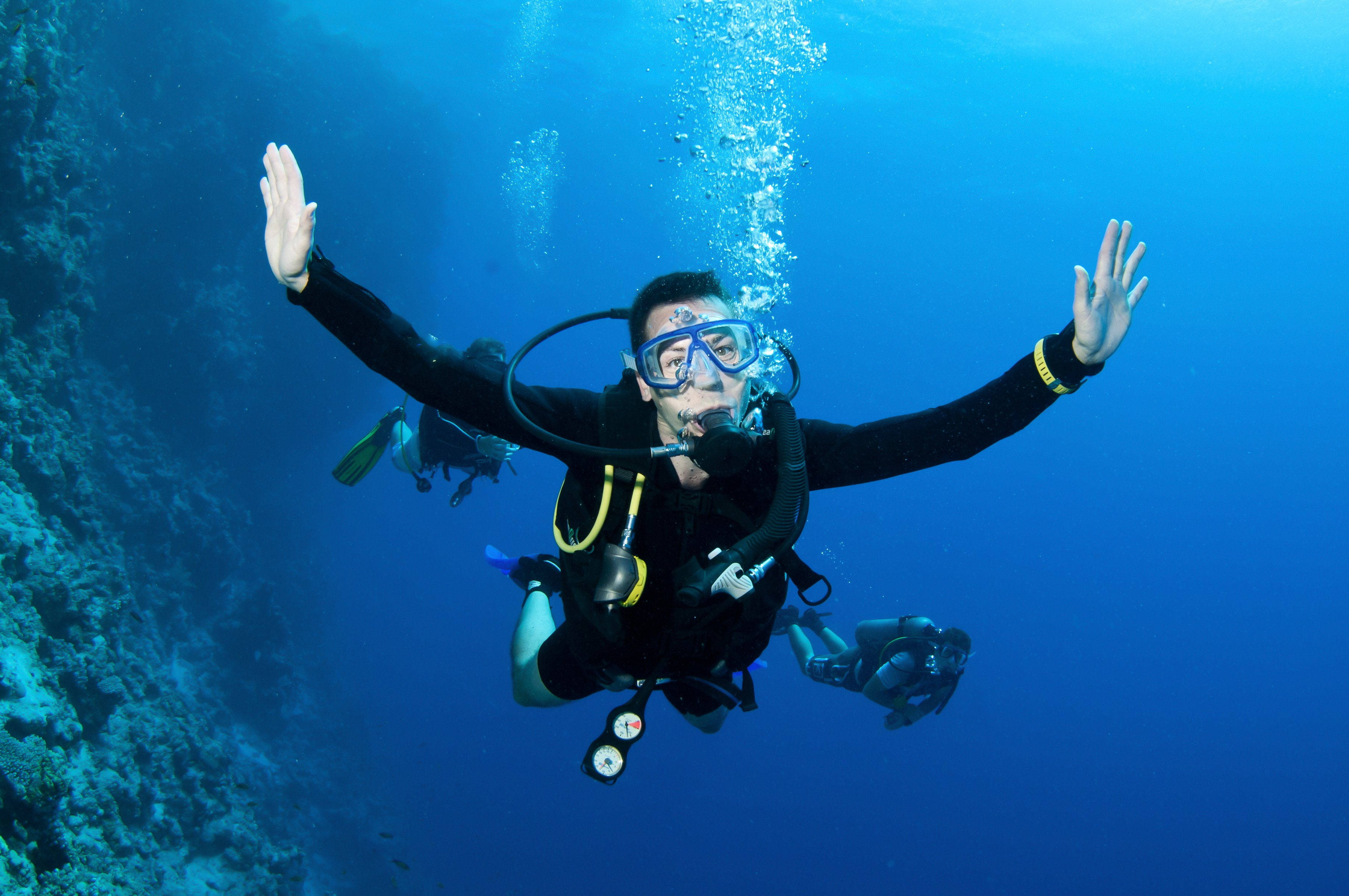 scuba diver, coral reef, bubbles, 2K Desktop Wallpaper
