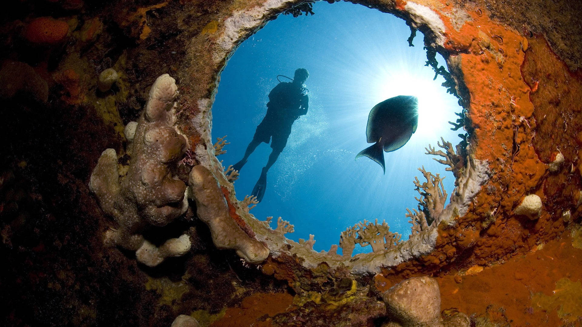 scuba diving, porthole, coral-fringed hole, Full HD Desktop Wallpaper