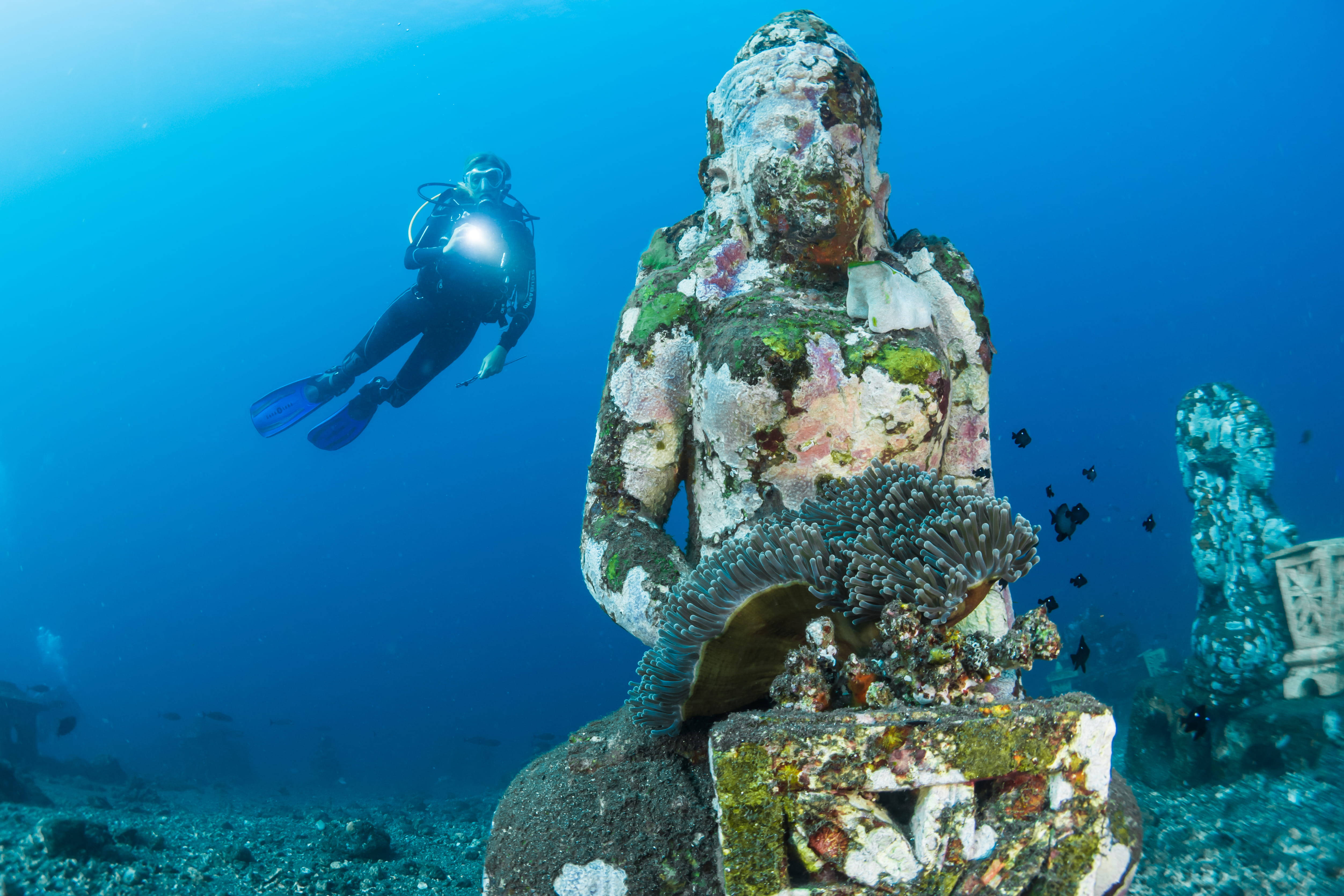Buddha statue, coral, marine life, 4K Desktop Wallpaper