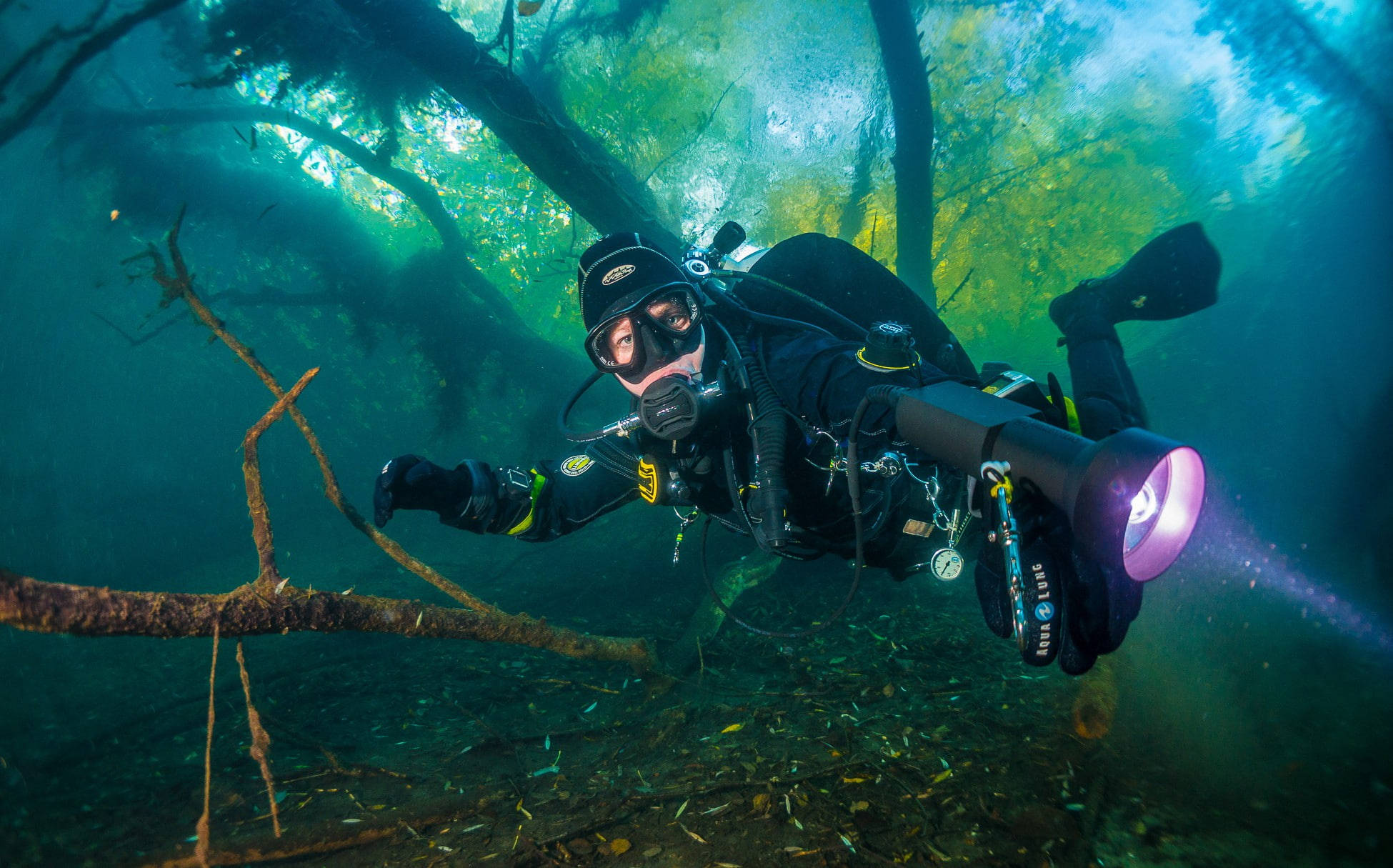 scuba diver, underwater forest, sunlight filtering through submerged trees, Full HD Desktop Wallpaper