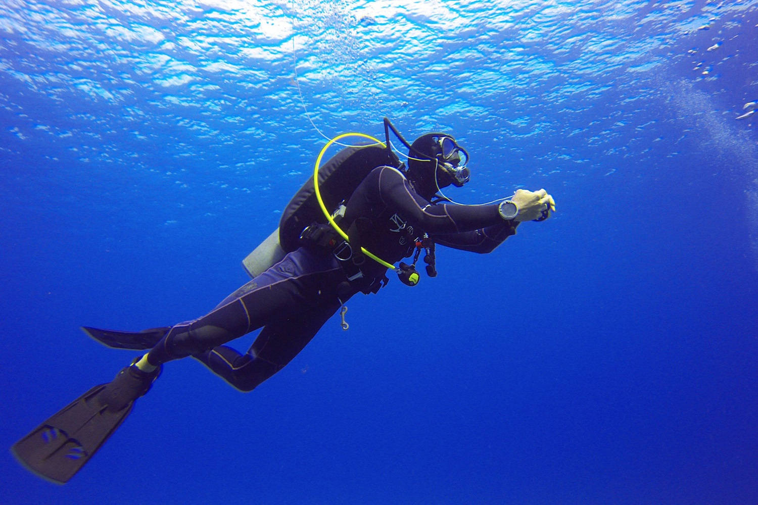 scuba diver, black gear, clear blue ocean water, HD Desktop Wallpaper