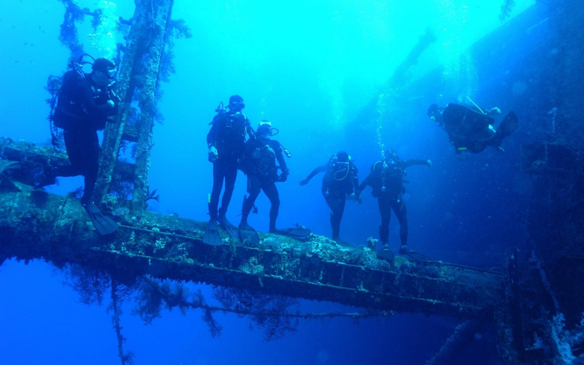 scuba diving squad, sunken ship, marine life, Full HD Desktop Wallpaper