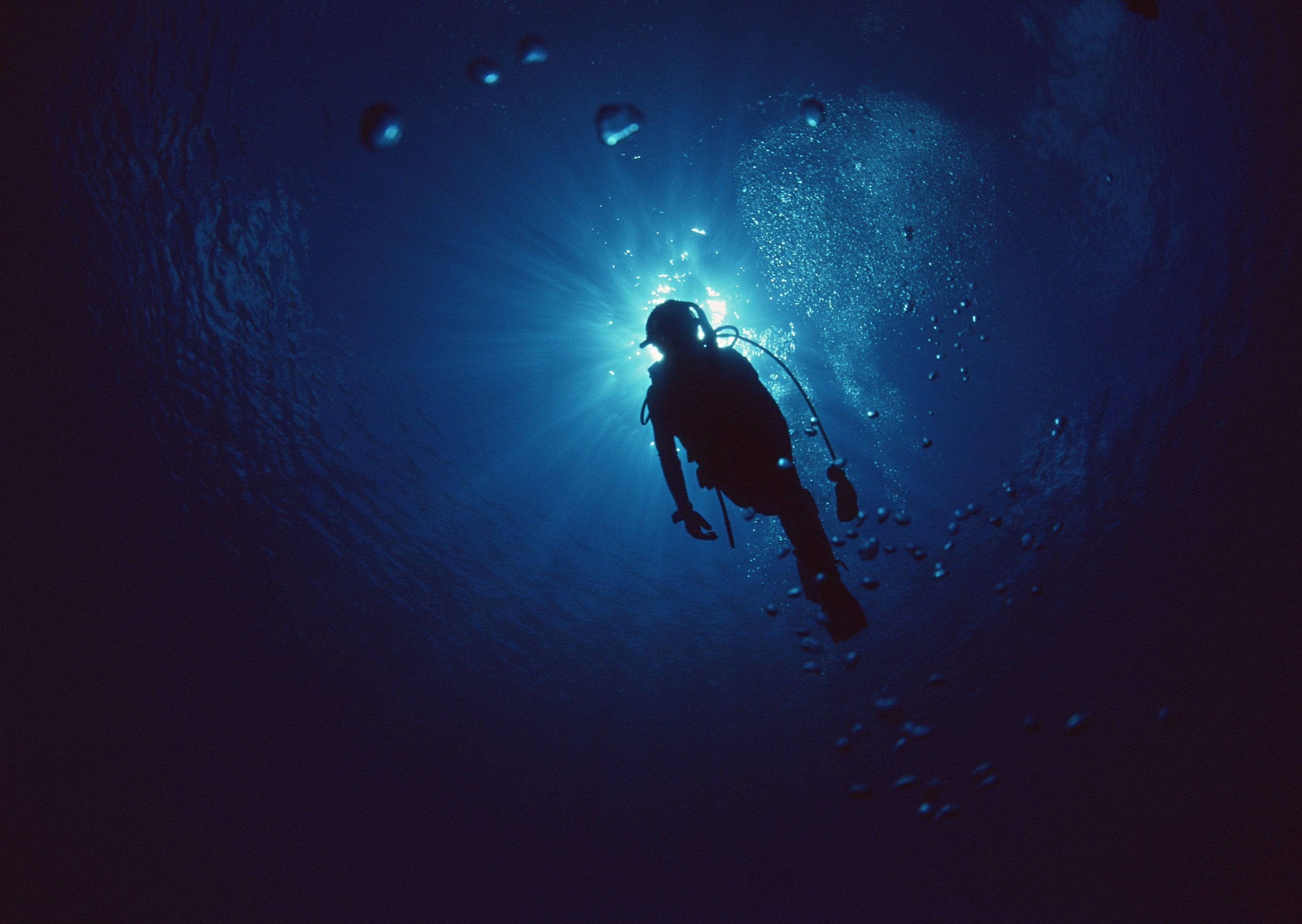 scuba diving, deep blue sea, silhouette, 2K Desktop Wallpaper