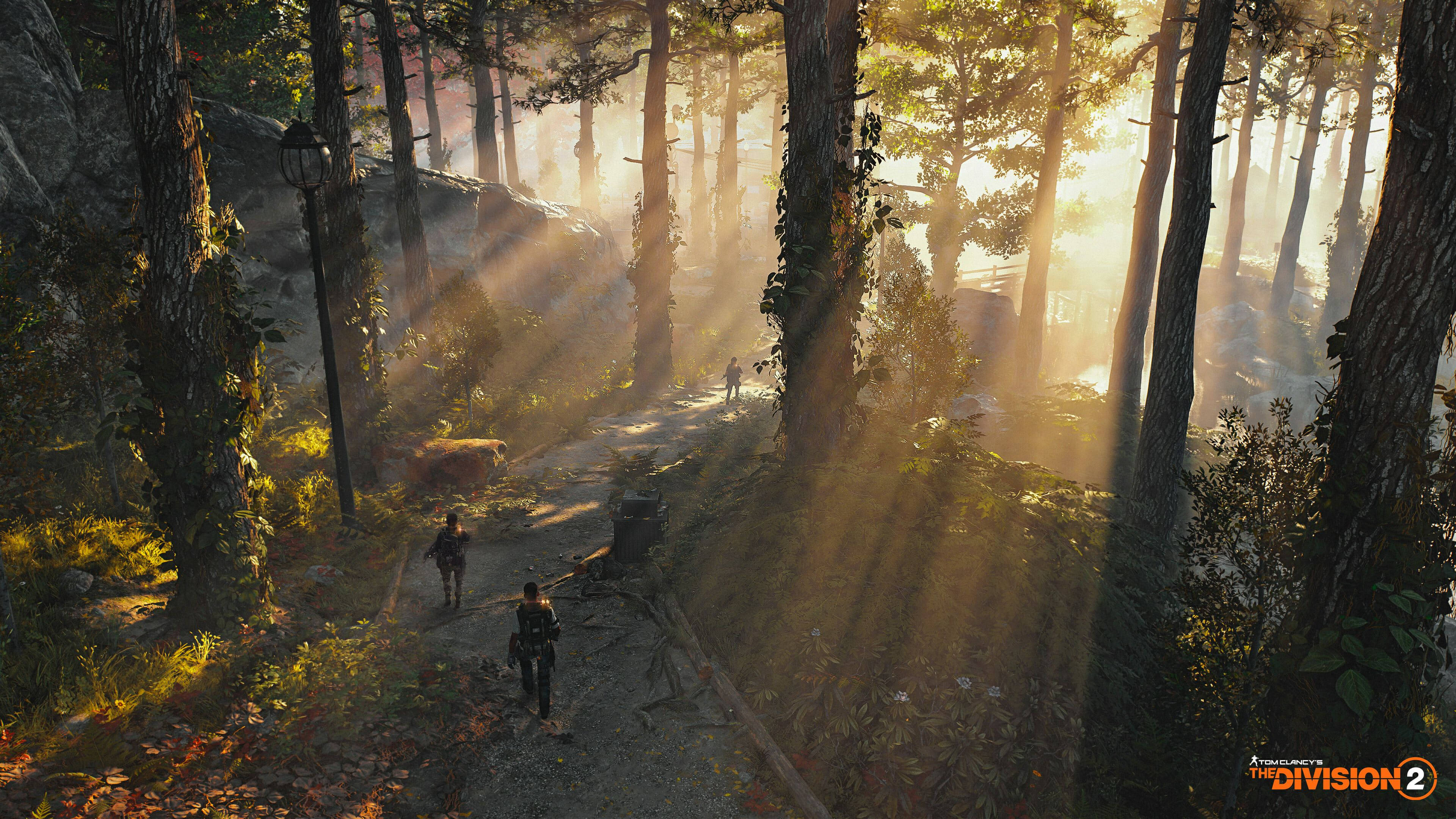 The Division 2, forest, sunlight beams, 4K Desktop Wallpaper
