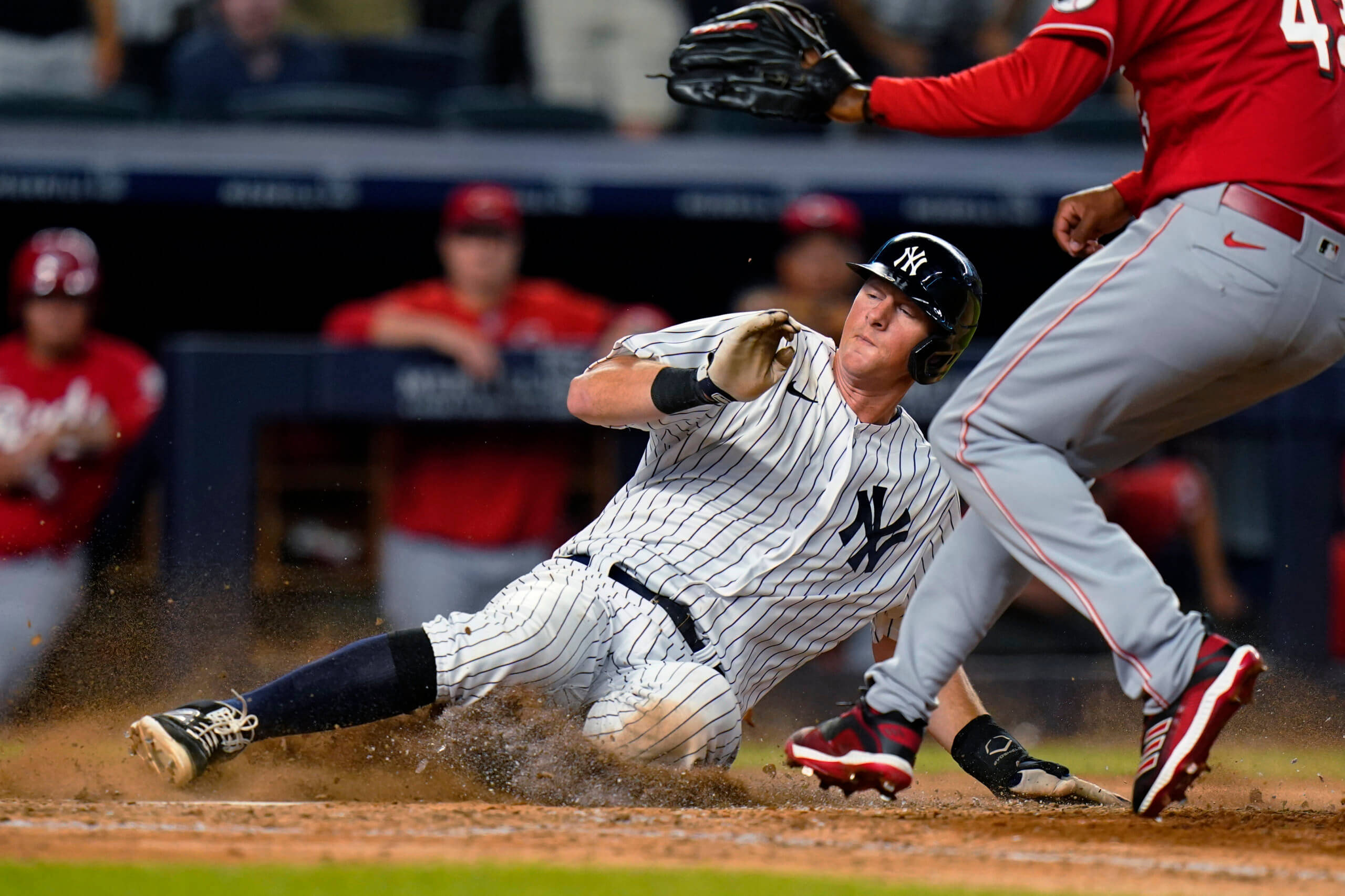 DJ LeMahieu, baseball field, pinstripes, 2K Desktop Wallpaper