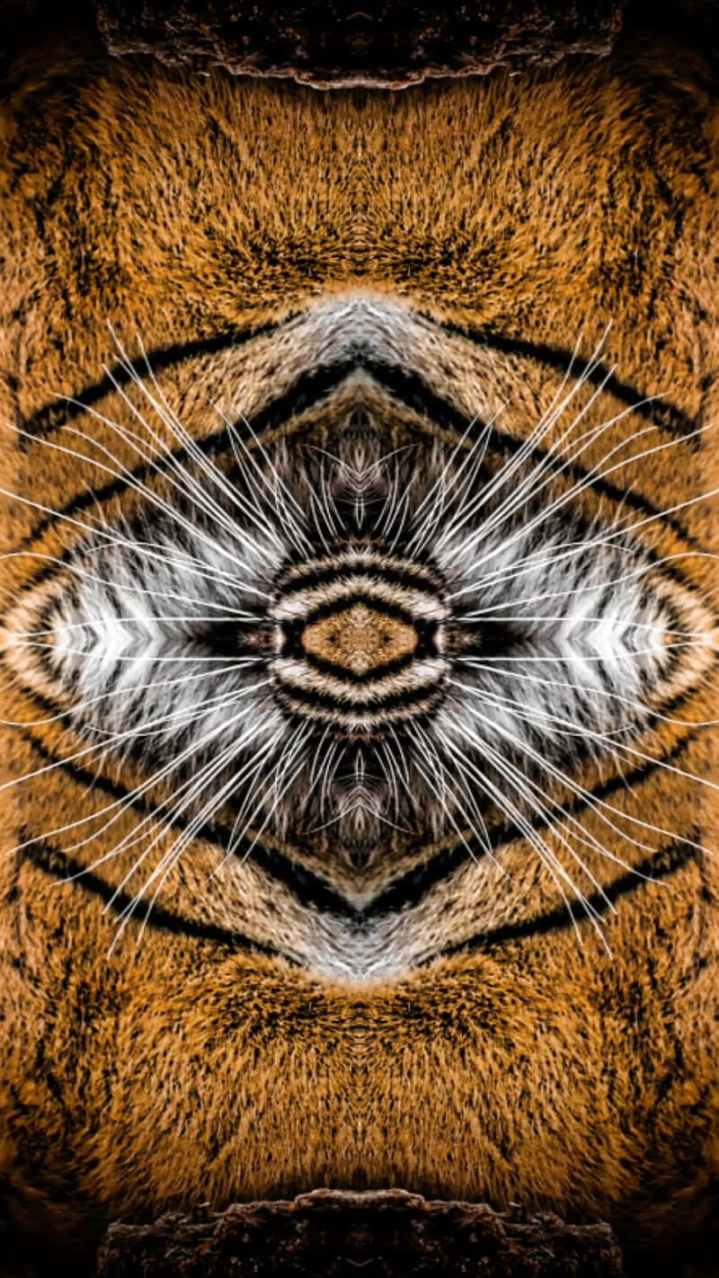 tiger, kaleidoscopic, whiskers, HD Phone Wallpaper