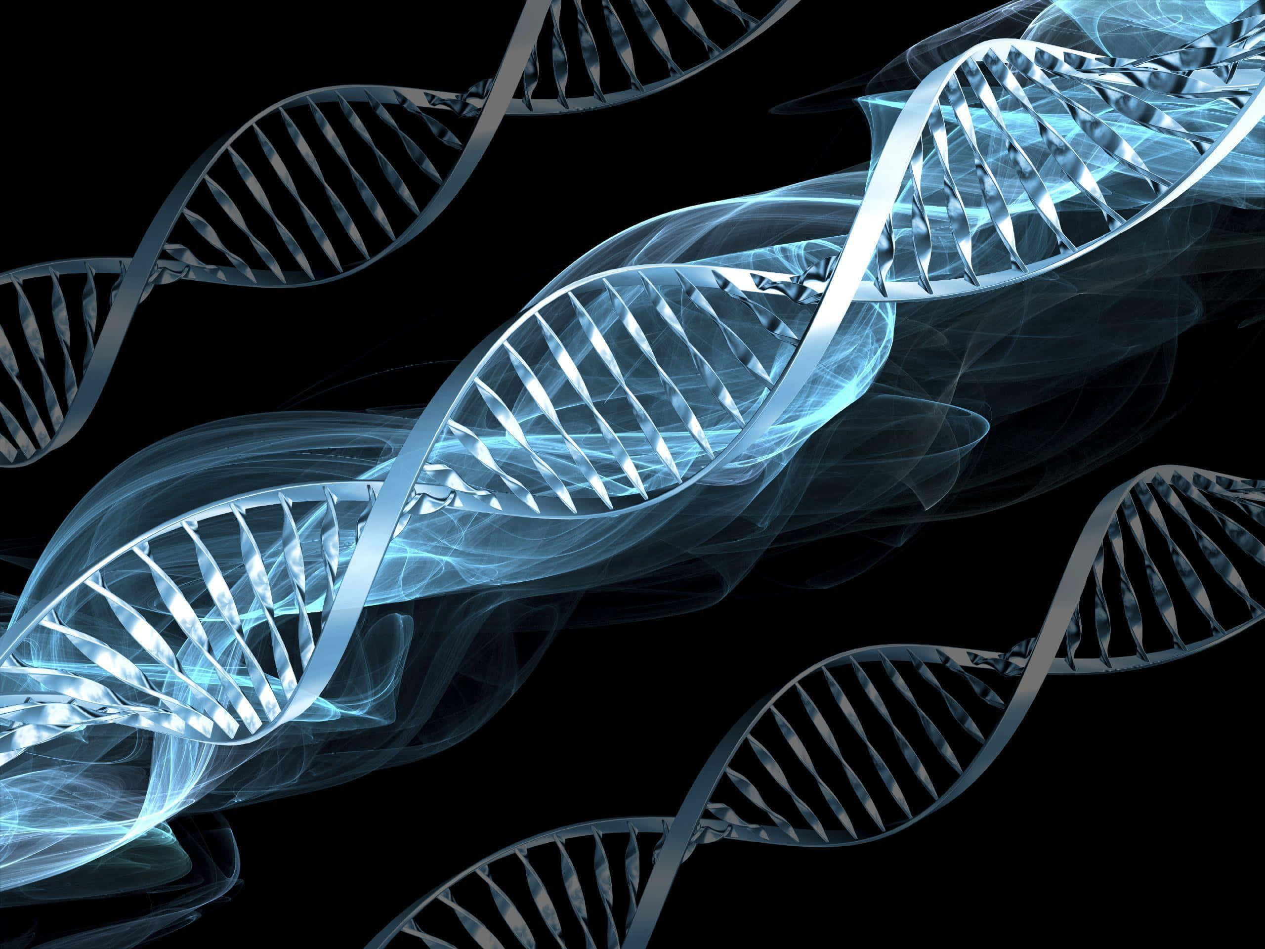 abstract d n a strands illustration, glowing translucent blue DNA strands, stark black background, 2K Desktop Wallpaper