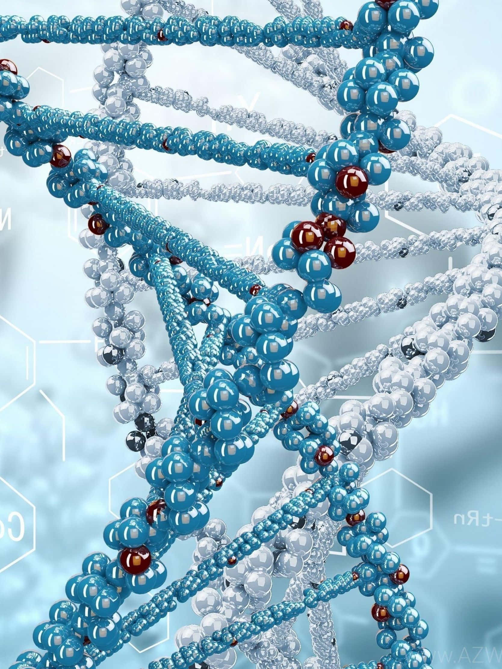DNA, double helix structure, blue and red spheres, Full HD Phone Wallpaper