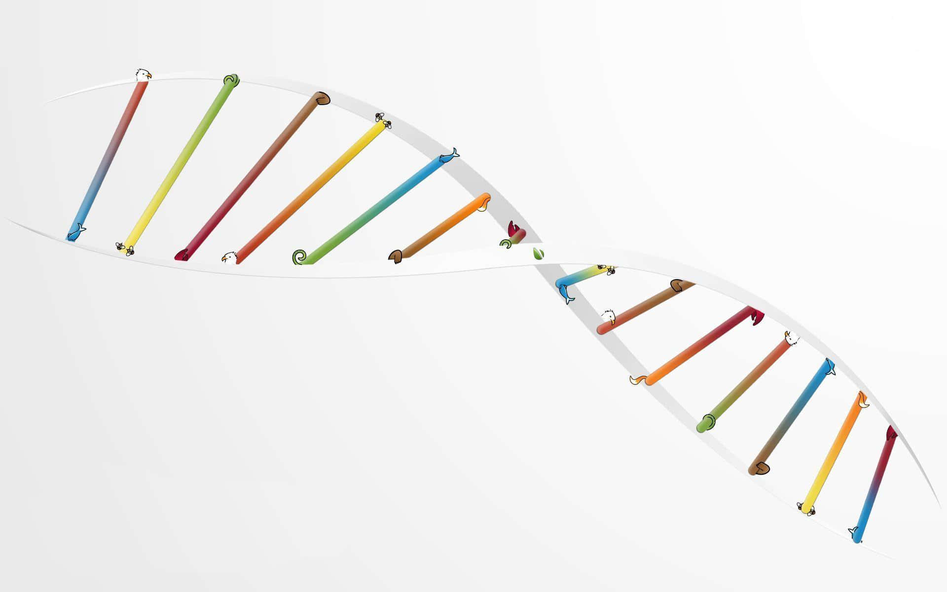 DNA, double helix, rainbow-colored, Full HD Desktop Wallpaper