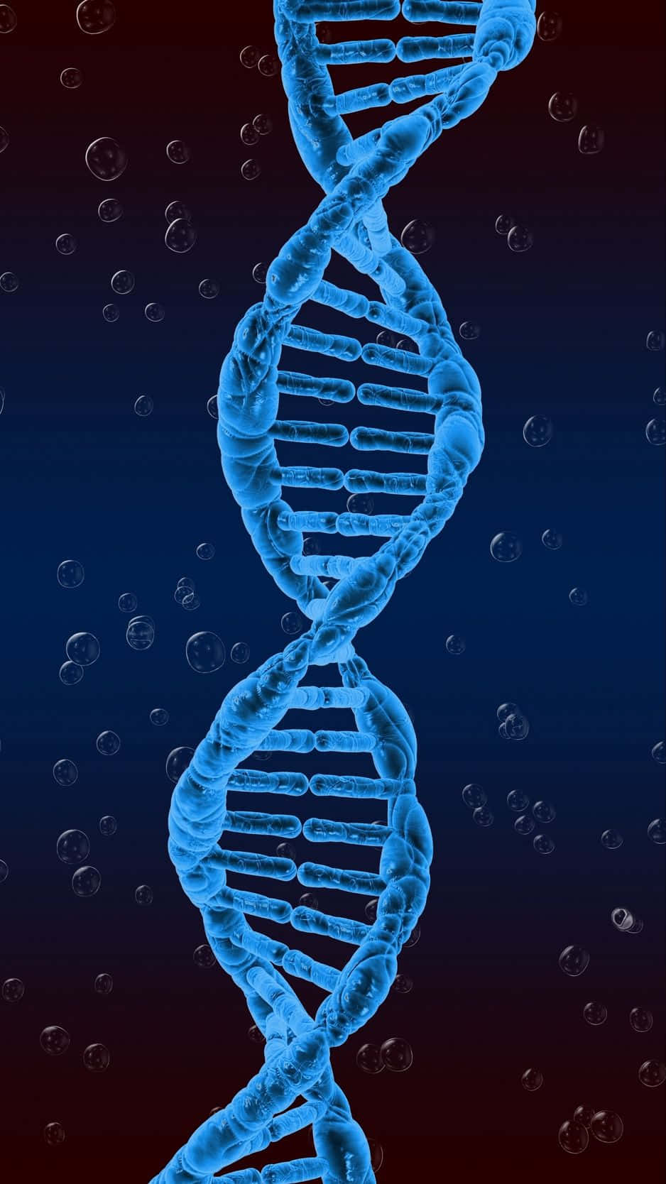 blue DNA double helix structure, glowing blue, dark gradient background, HD Phone Wallpaper