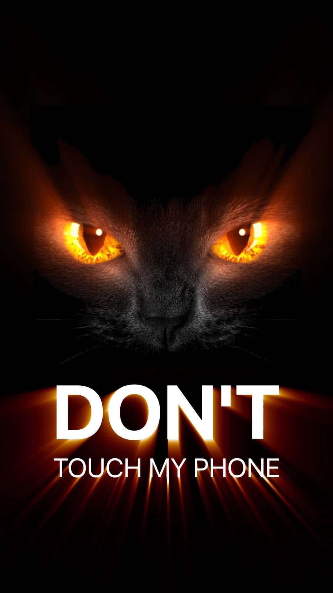 black cat, glowing orange eyes, darkness, Full HD Phone Wallpaper