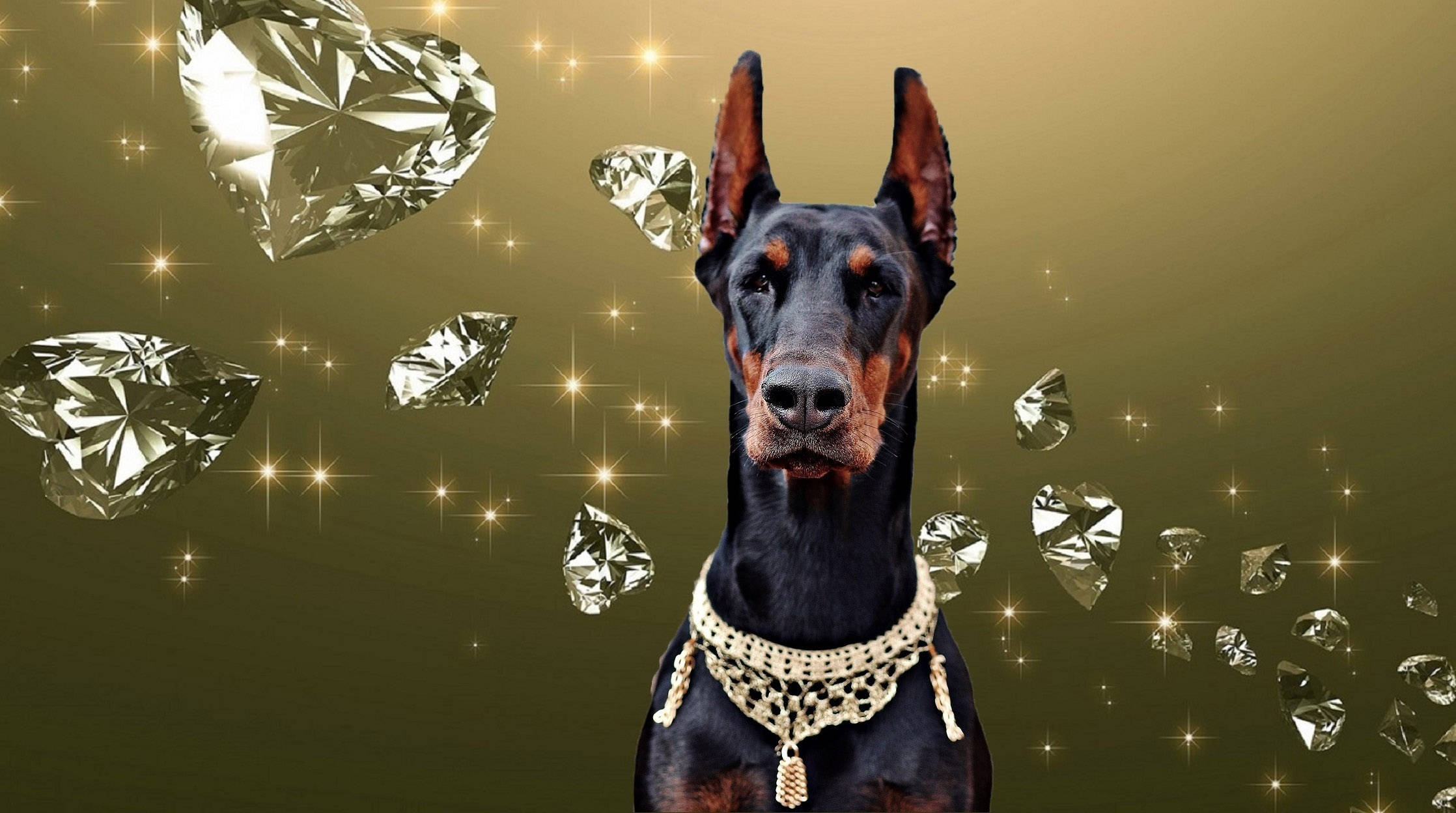Doberman Pinscher, gold chain collar, floating diamonds, Full HD Desktop Wallpaper
